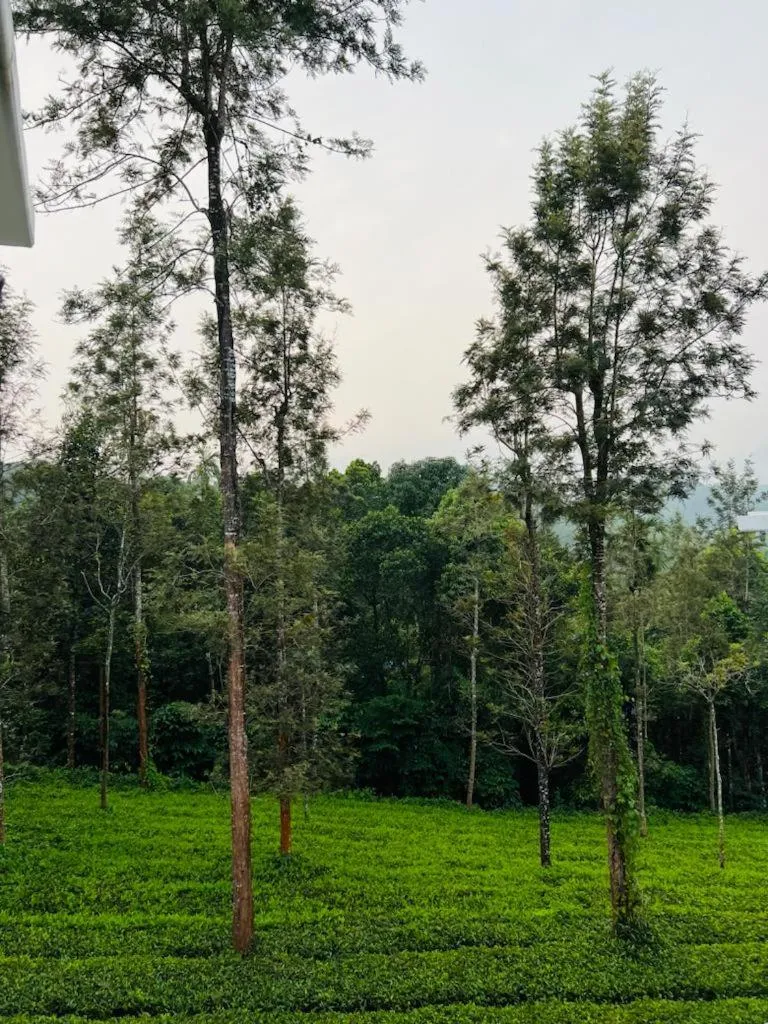 Pabis luxurious stay