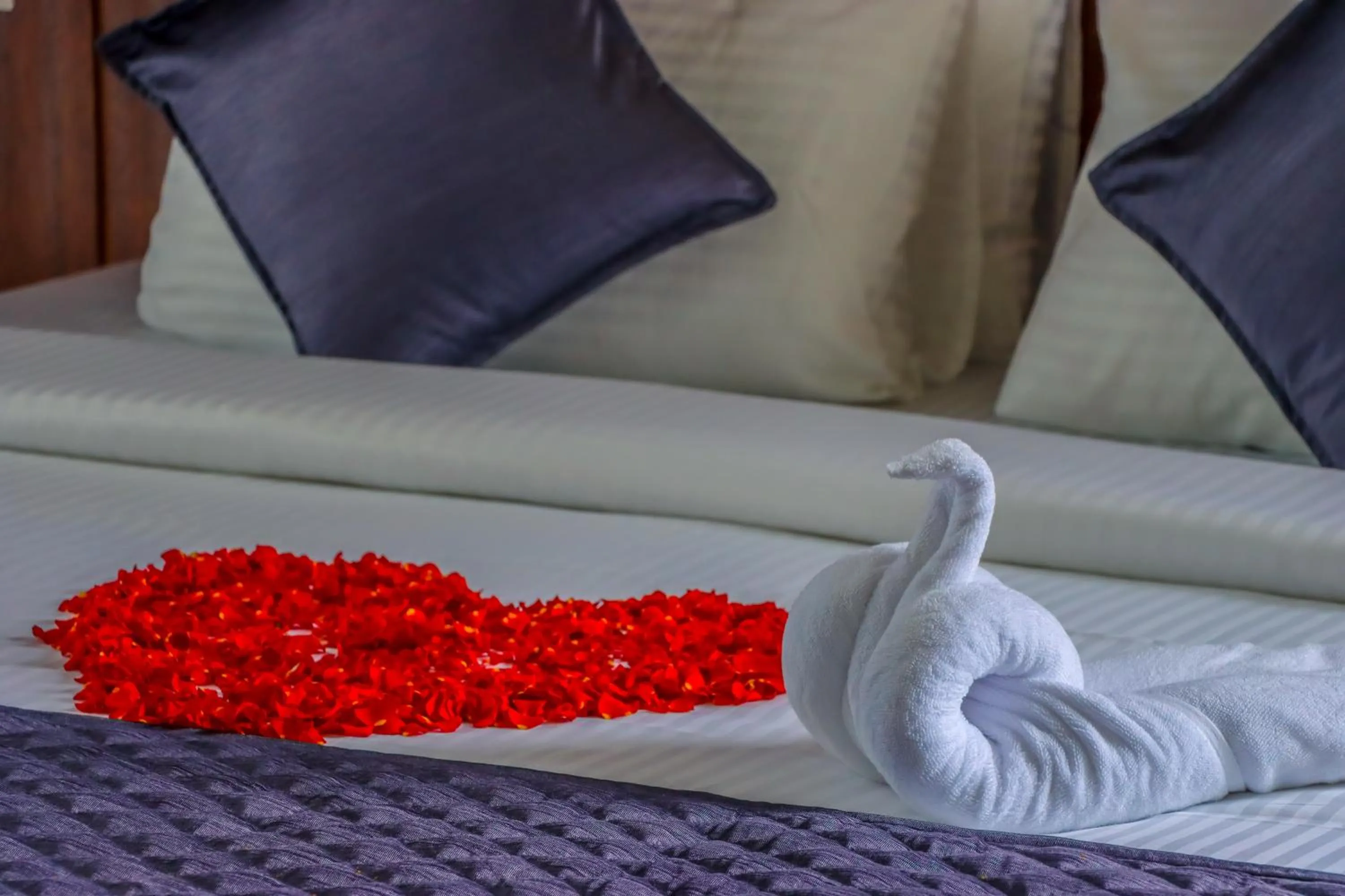 Bed in Winter Note Resorts