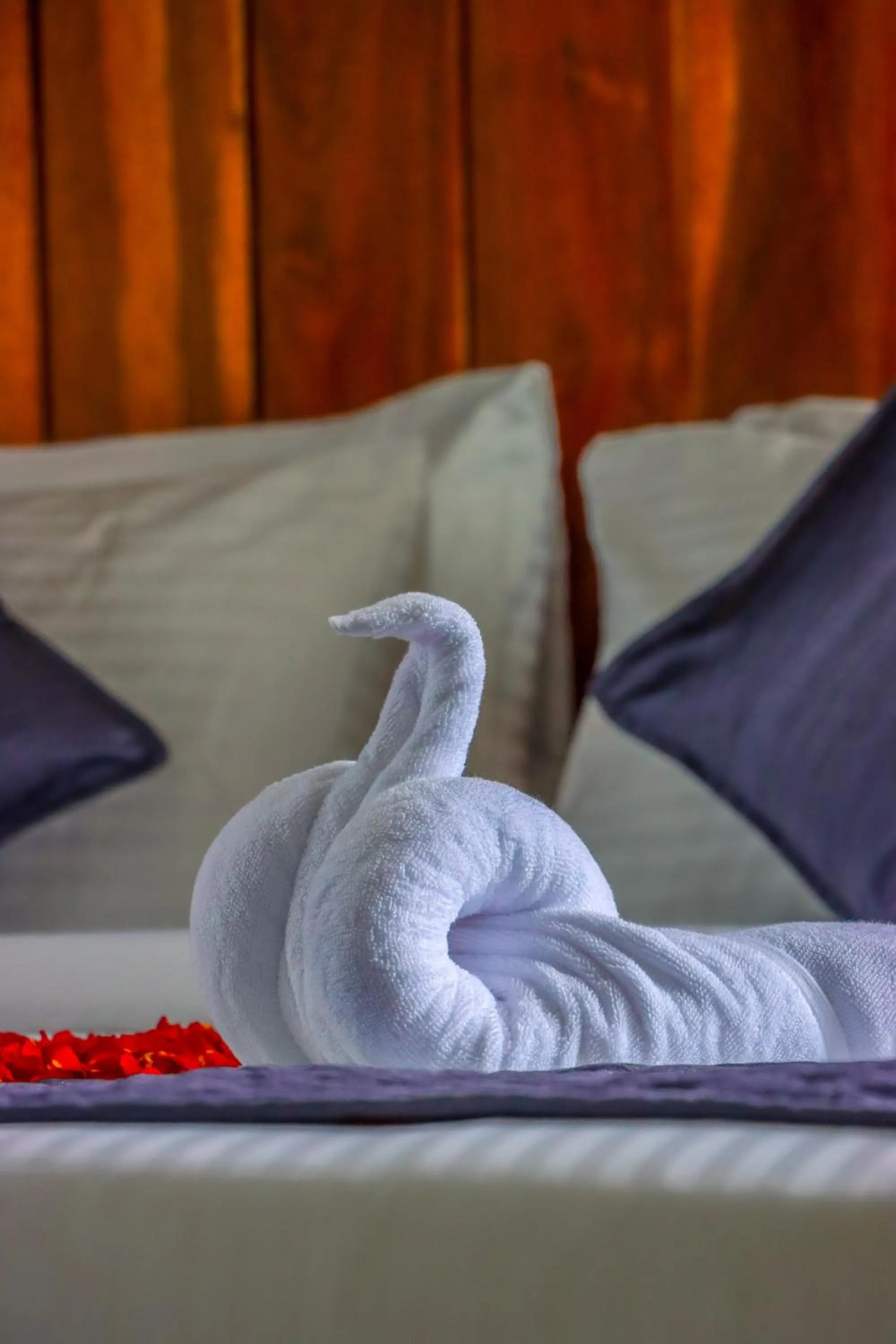 Bed in Winter Note Resorts