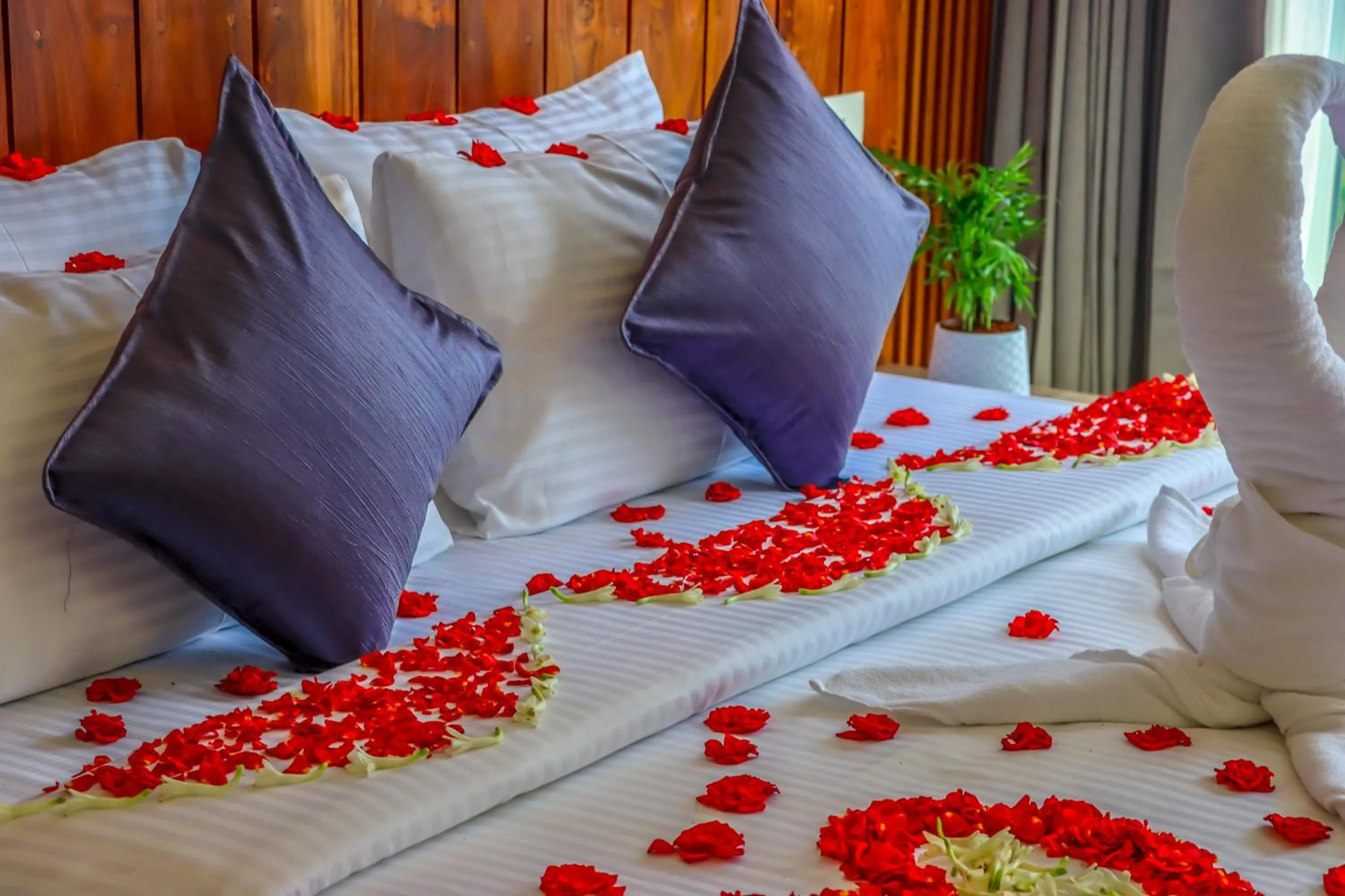 Bed in Winter Note Resorts