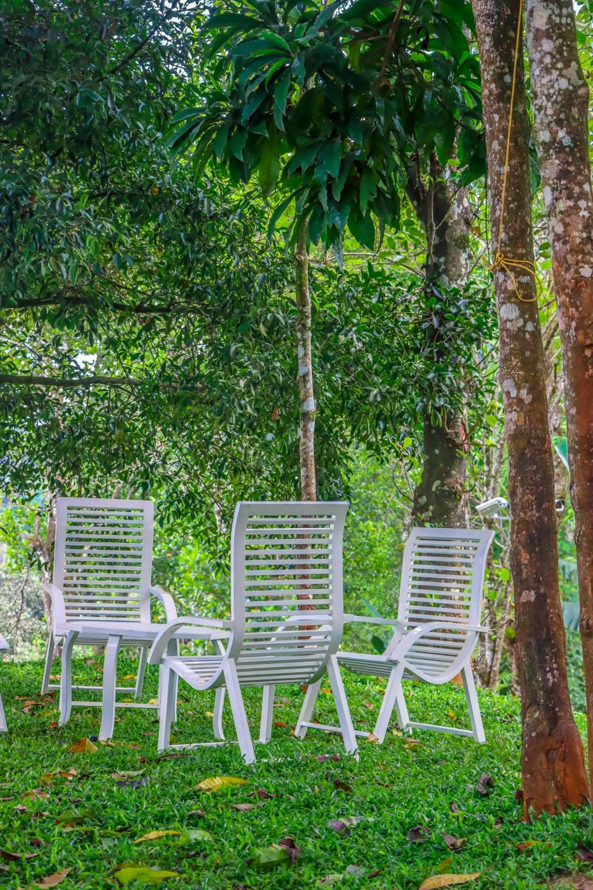 Natural landscape in Winter Note Resorts