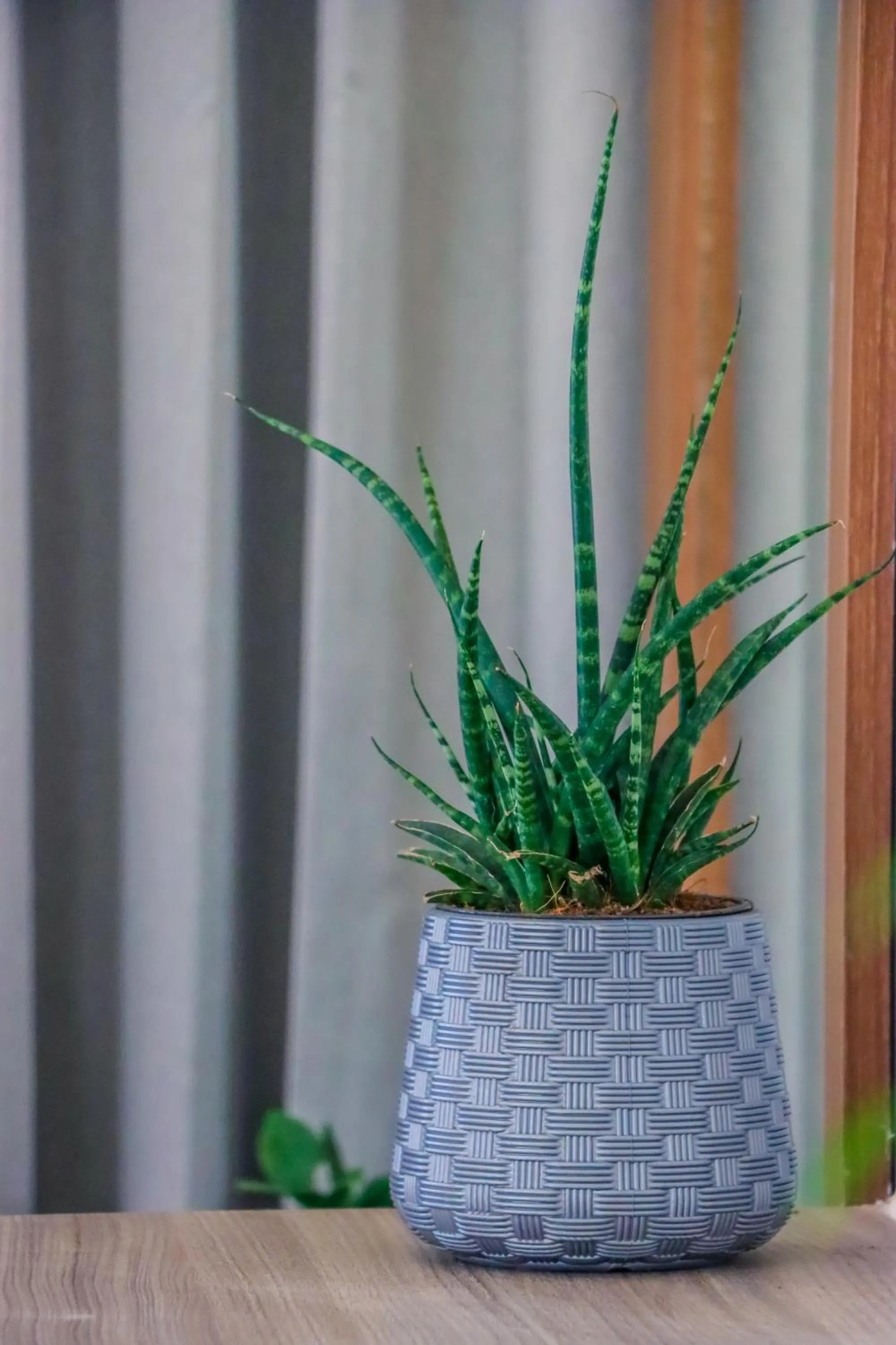 Lobby or reception in Winter Note Resorts