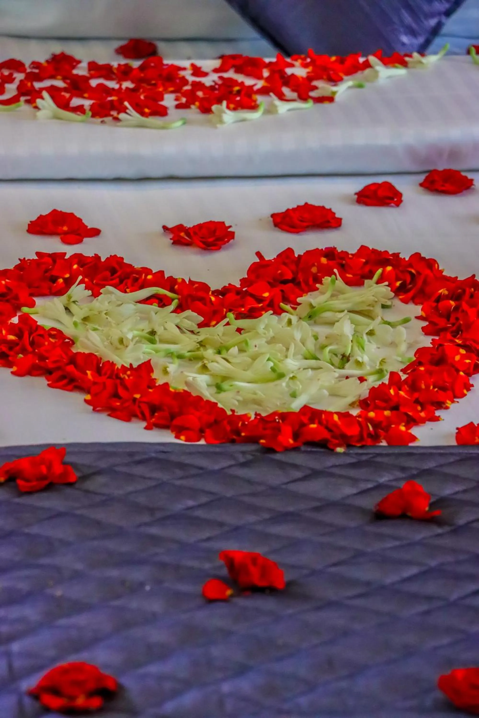 Bed in Winter Note Resorts