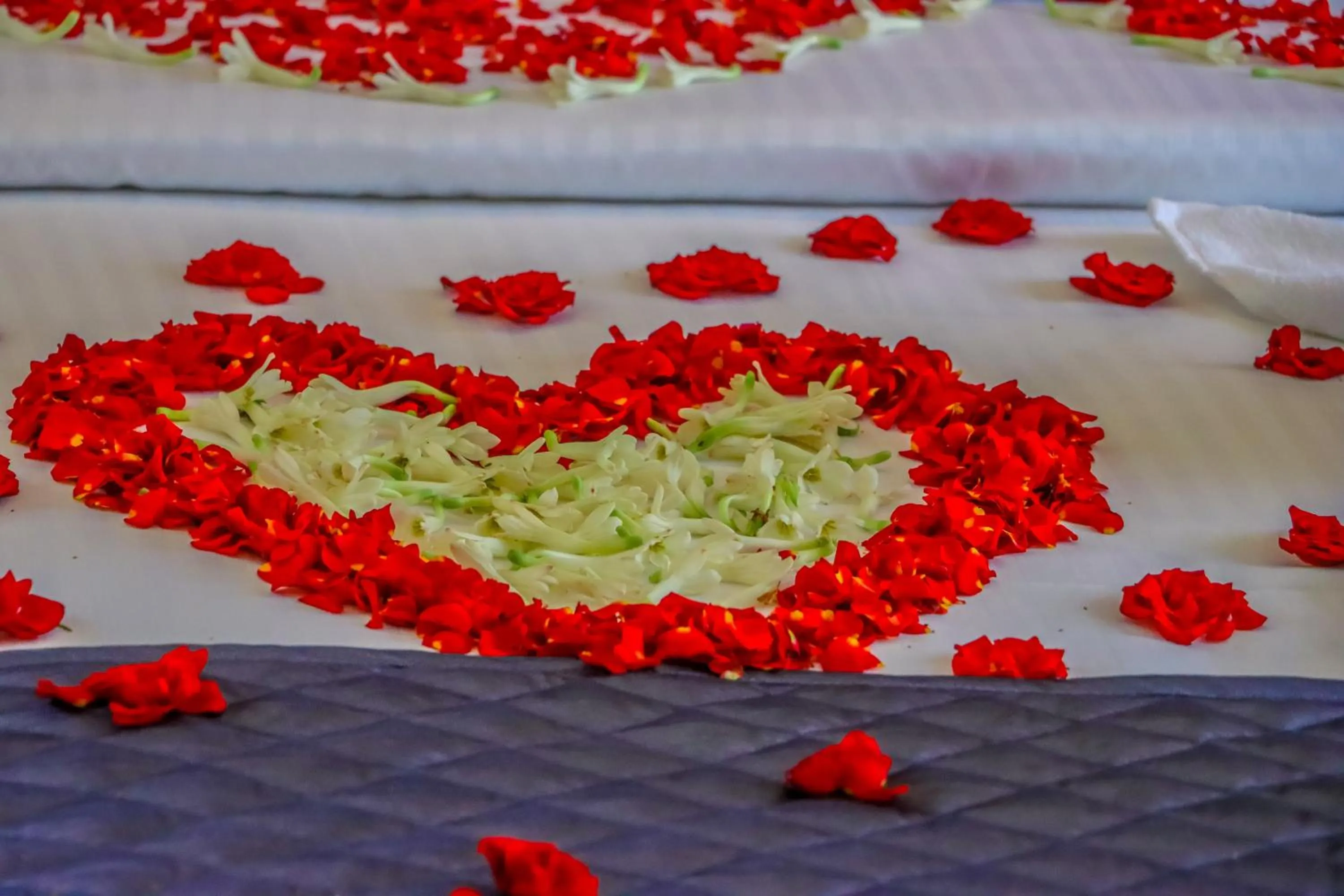 Bed in Winter Note Resorts