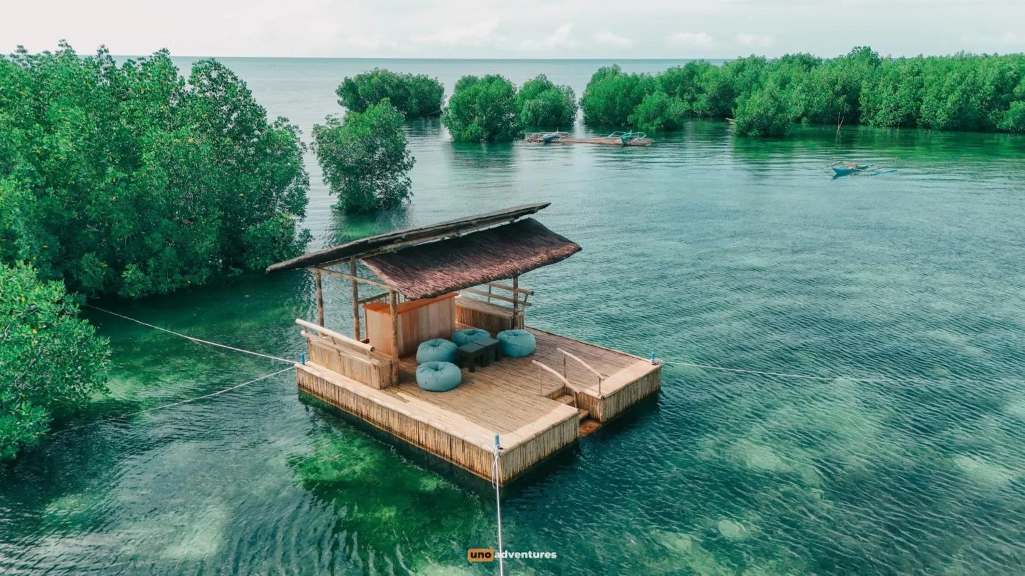 The Funny Lion - Puerto Princesa