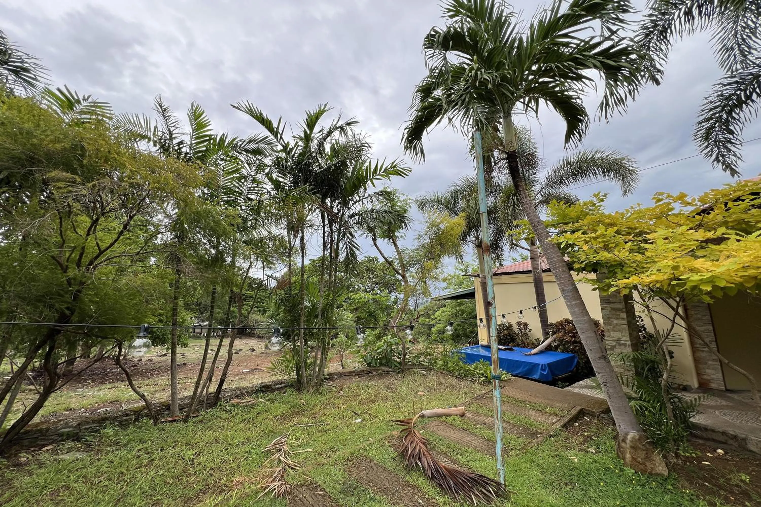 Garden in Vista Venice Resort