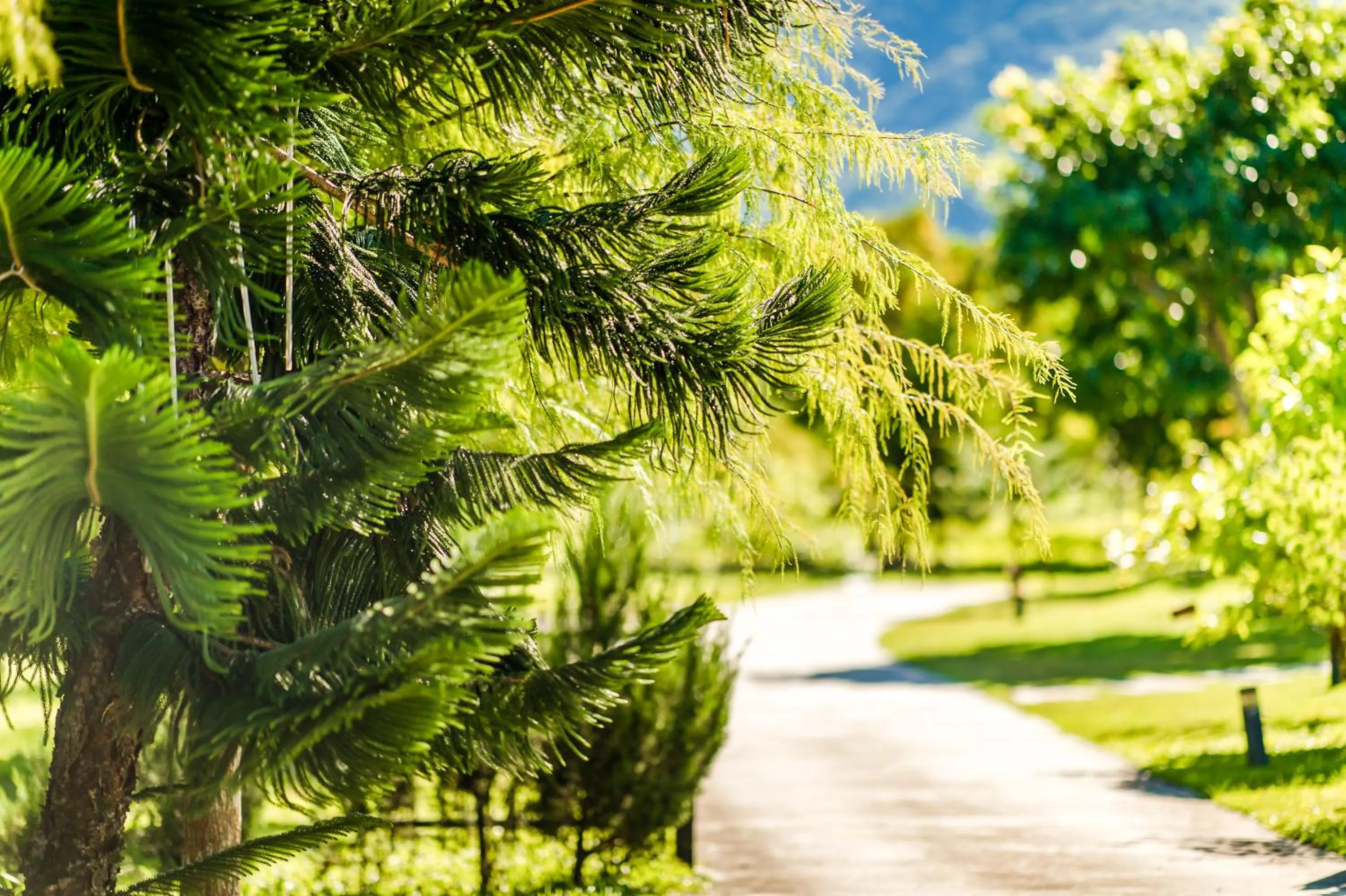 Natural landscape in Wilderness1138 Hualien B&B