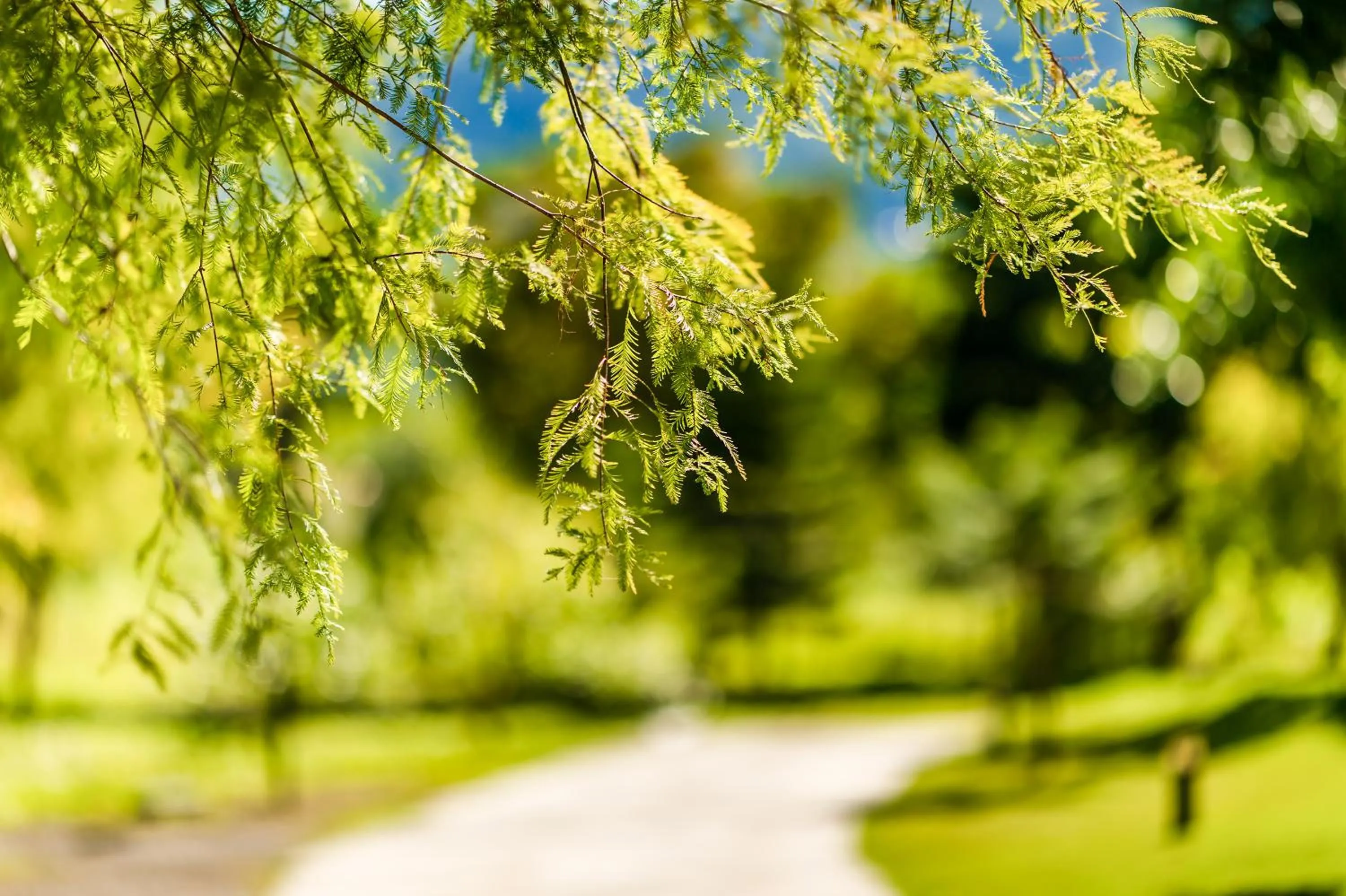 Natural landscape in Wilderness1138 Hualien B&B