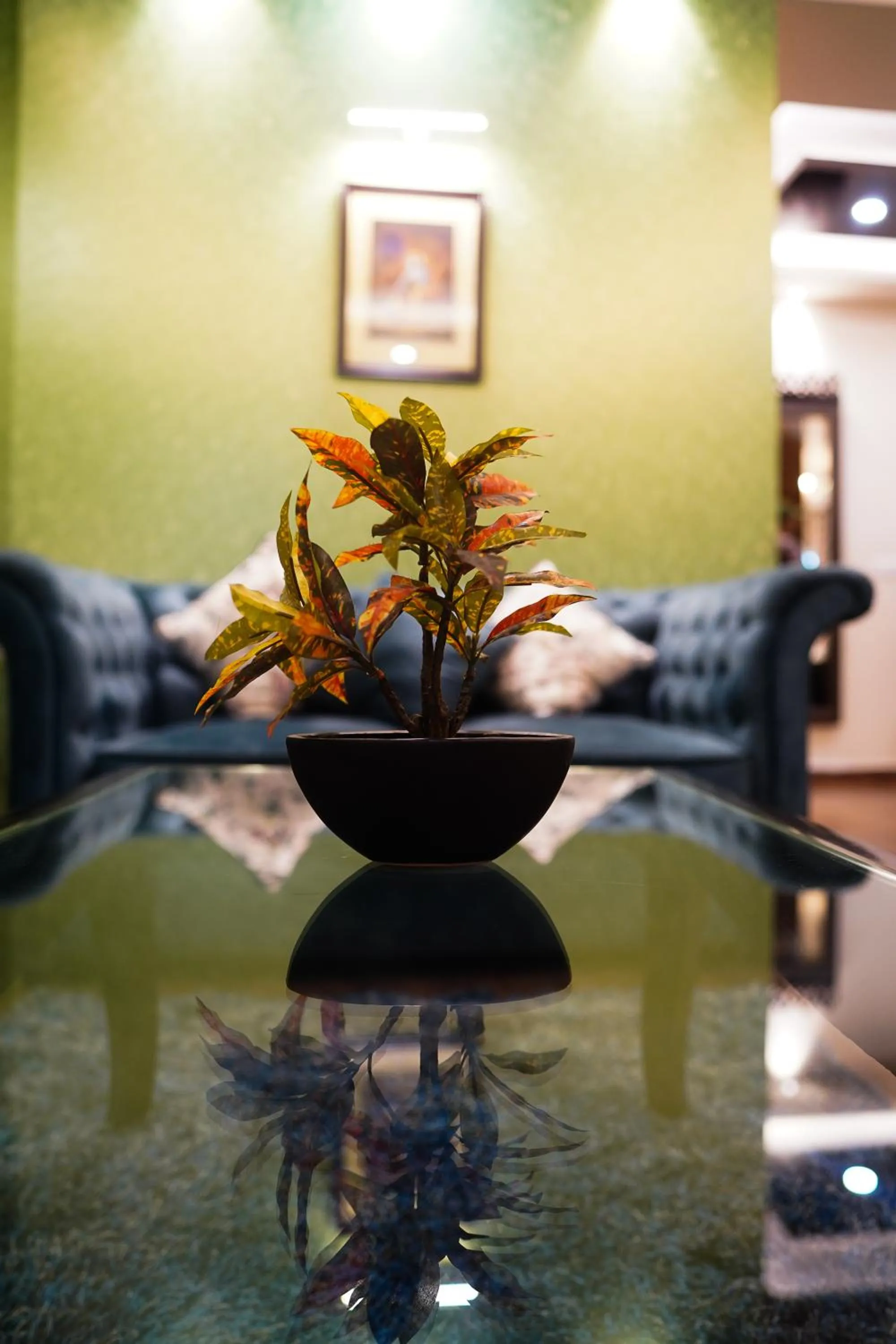 Living room in The Vaishnavi