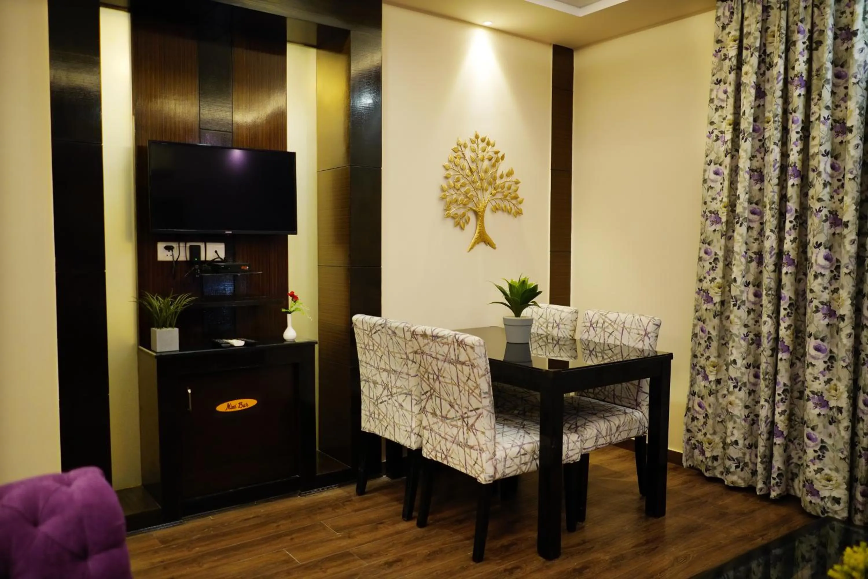 TV and multimedia in The Vaishnavi