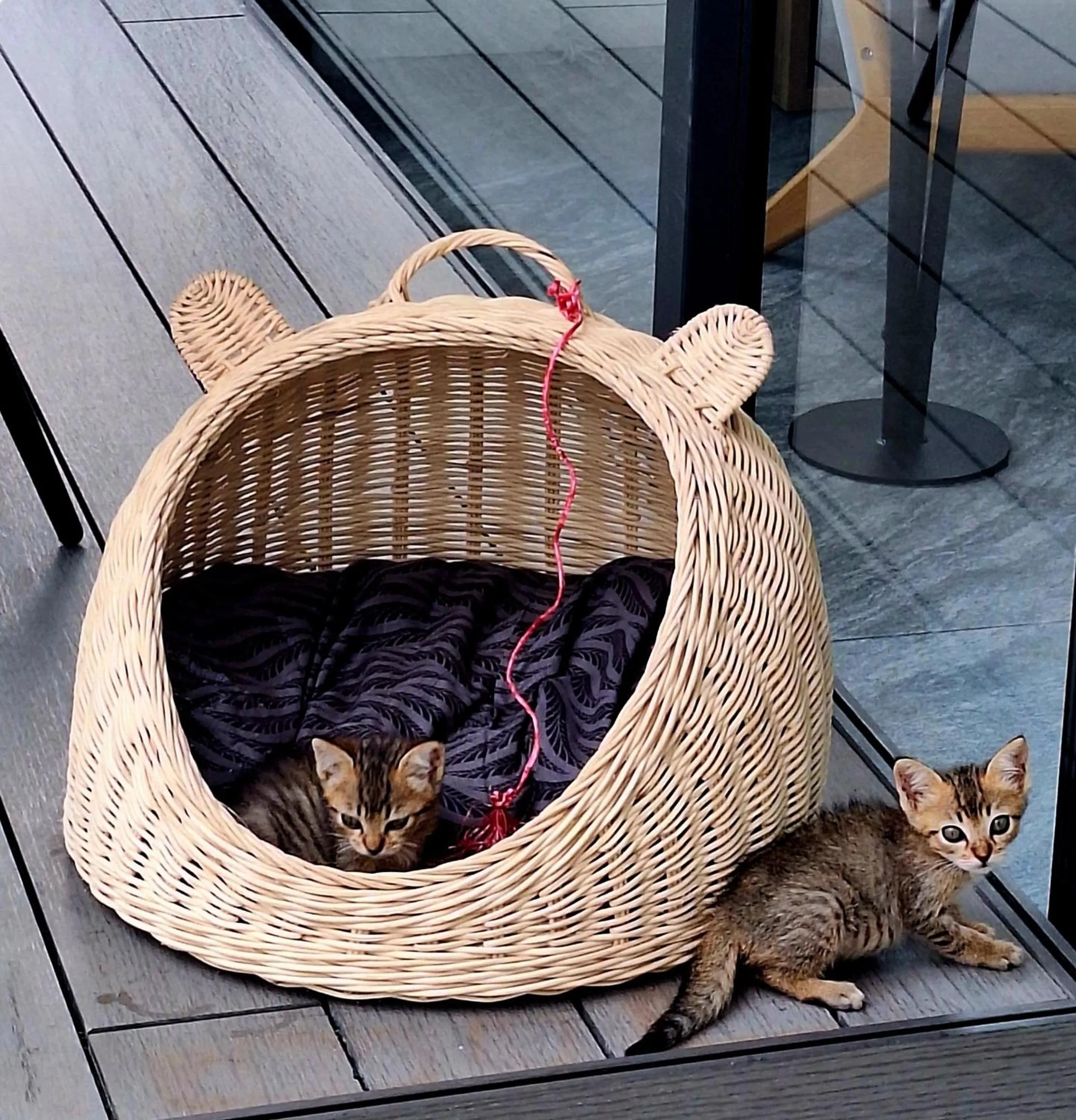 Pets in Thiptara Resort - adults only