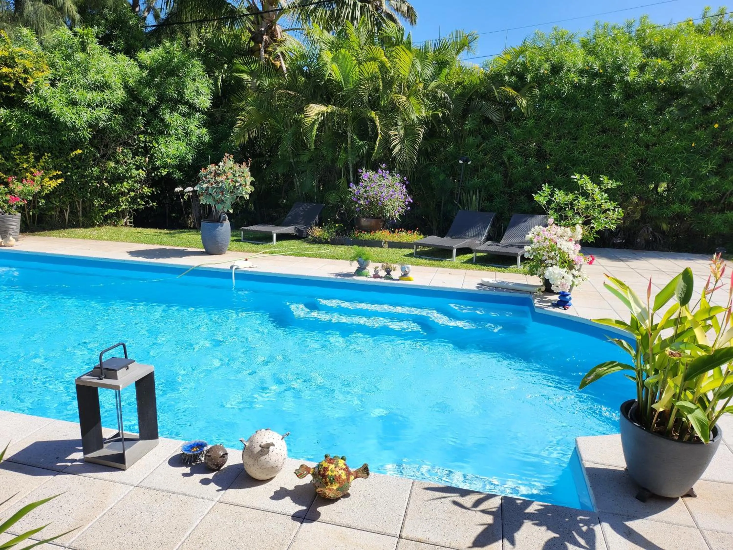 Garden in Appartement Artistique de Boucan Canot