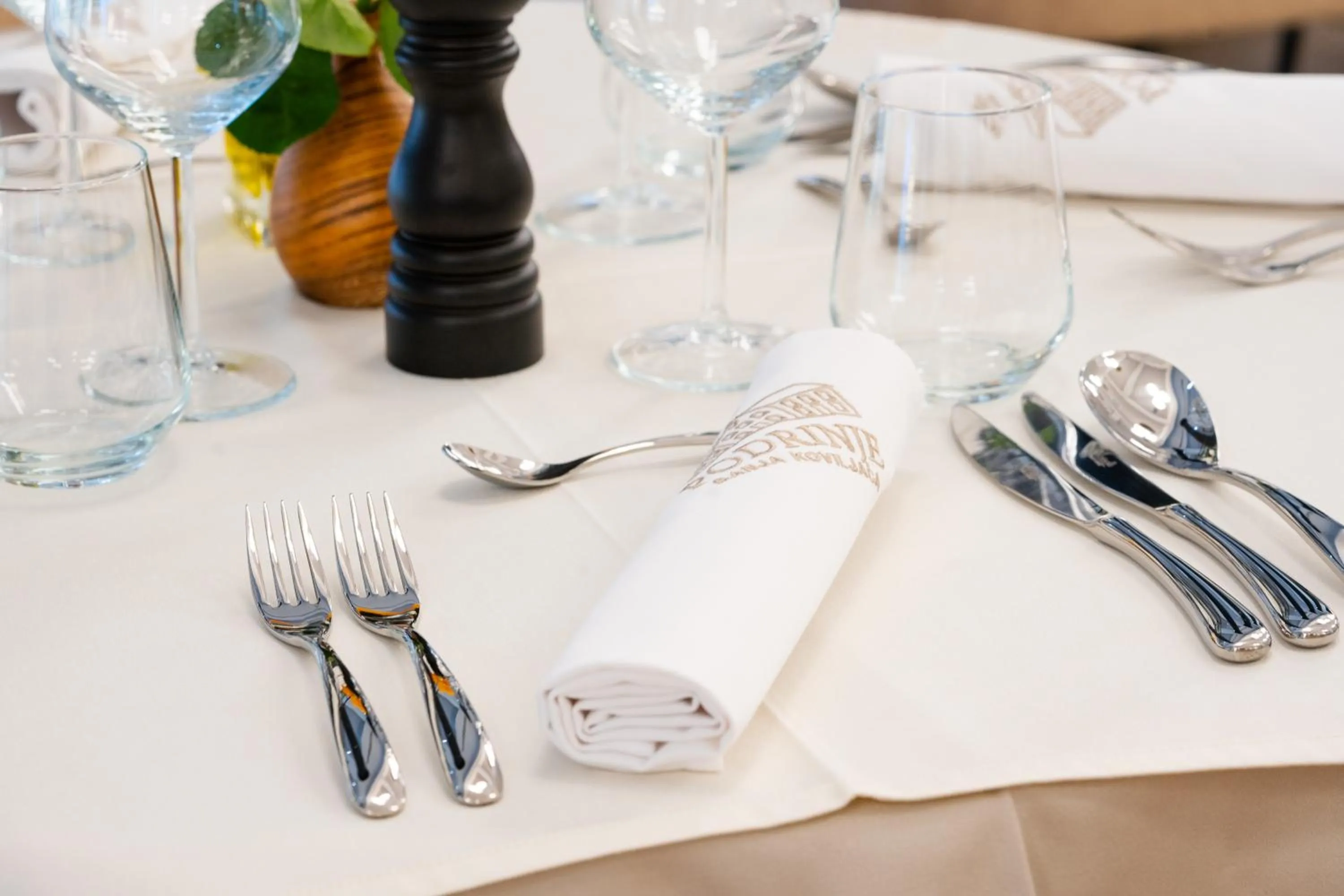 Food and drinks in Hotel Podrinje