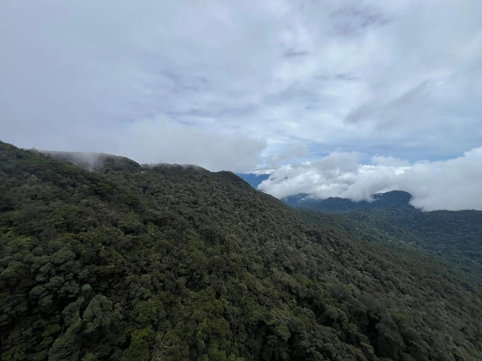 Mountain view in QUINCE HOME GRAND ION DELEMEN GENTING HIGHLANDs