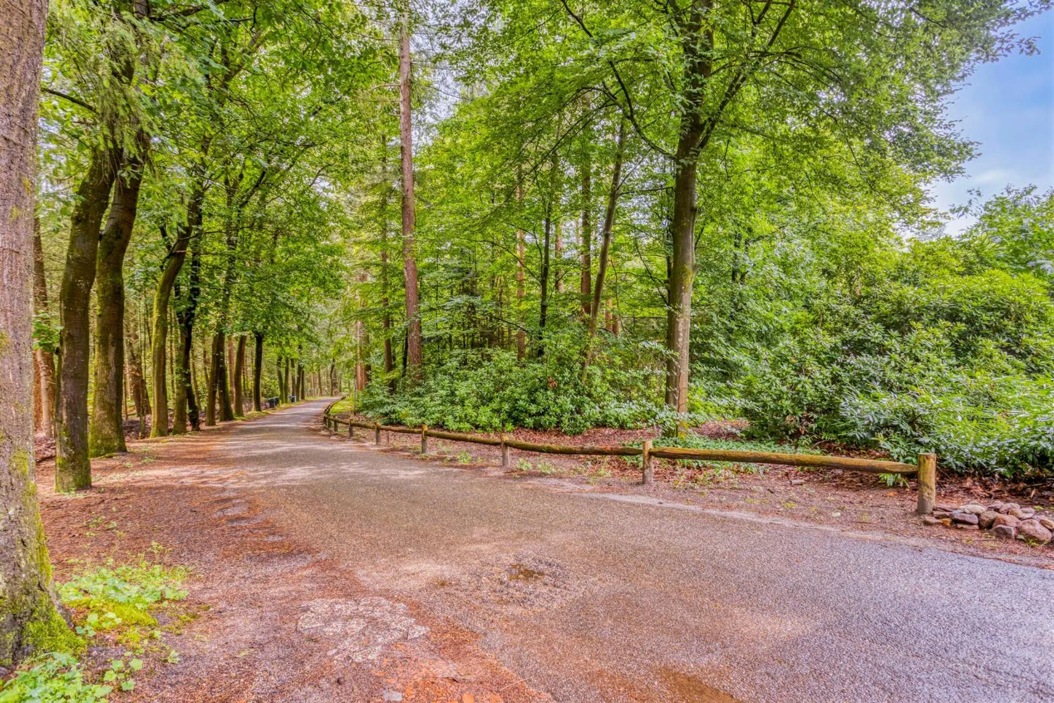 Area and facilities in Landgoed Stakenberg - Hotel & Bungalows