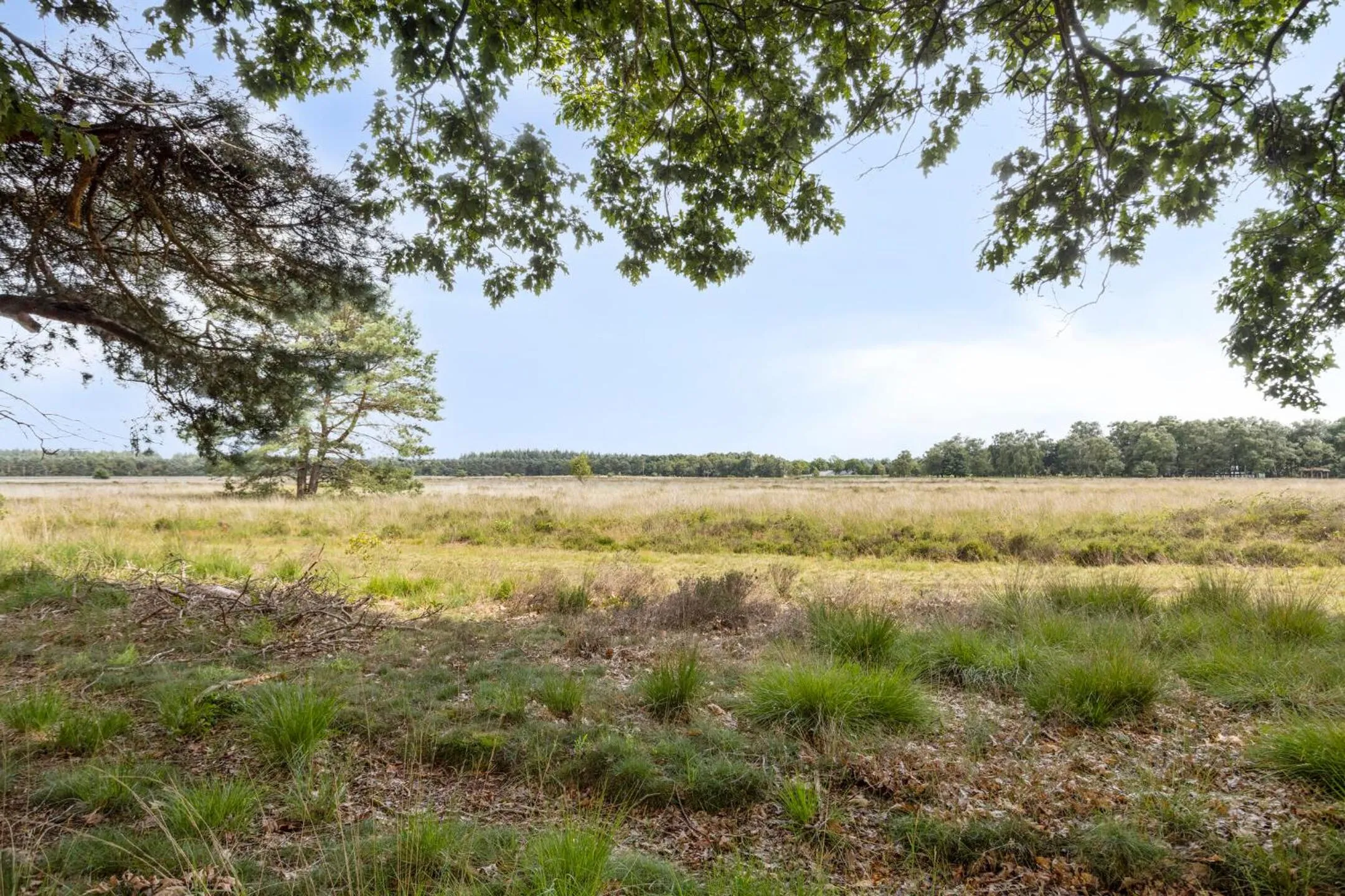 Area and facilities in Landgoed Stakenberg - Hotel & Bungalows