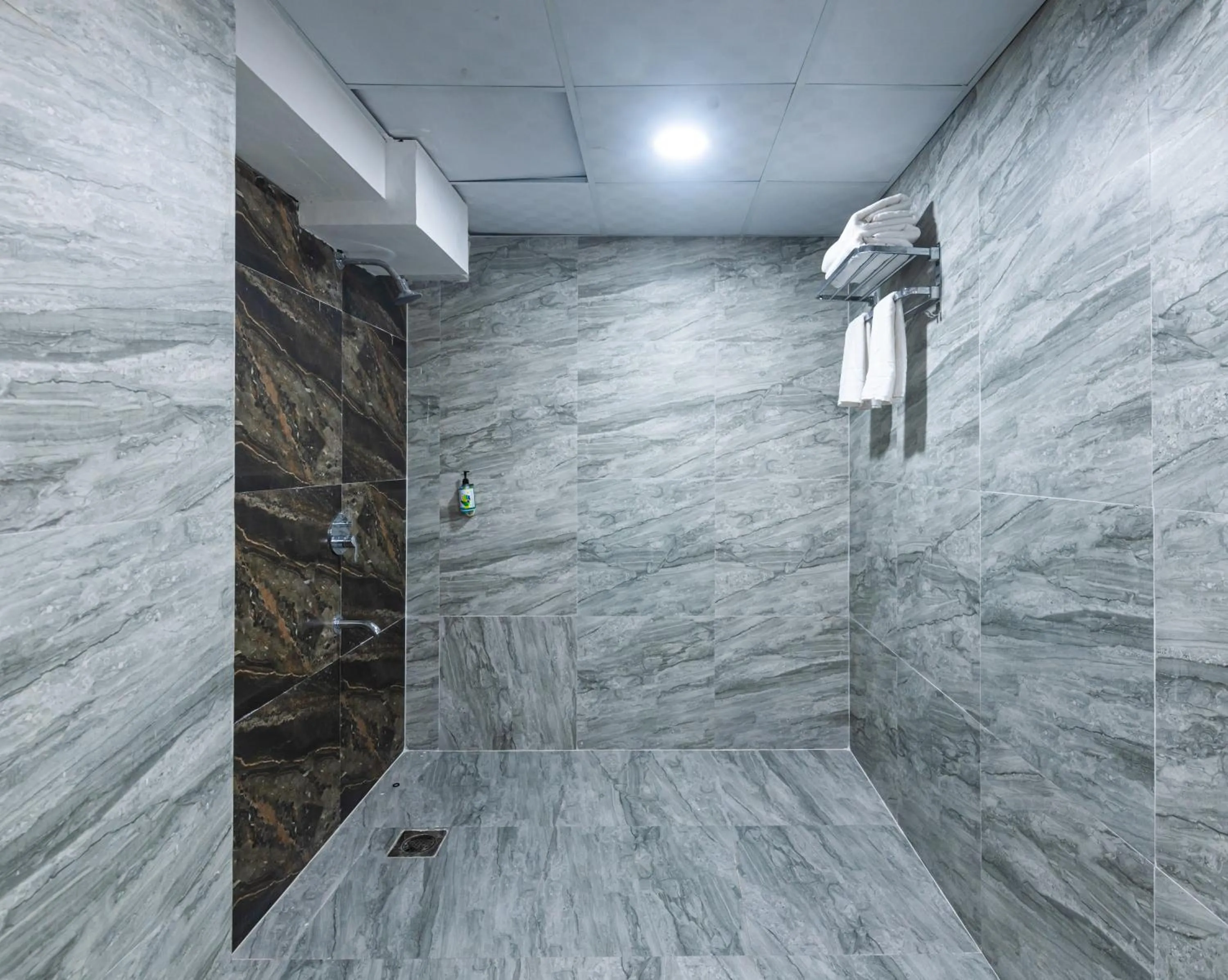 Bathroom in Treebo Cocostay, Hadapsar