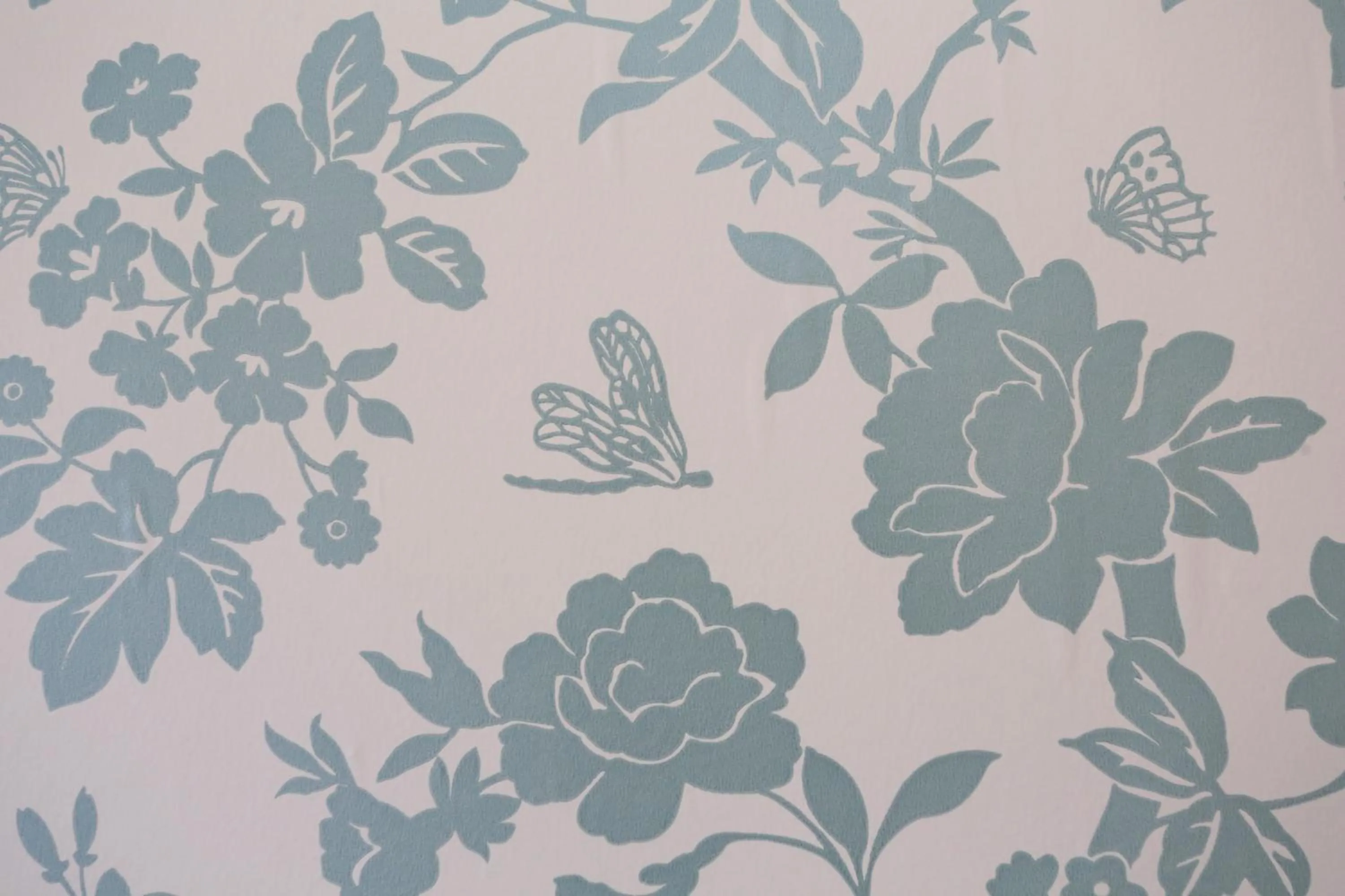 Other in Dorset Hotel, Isle of Wight