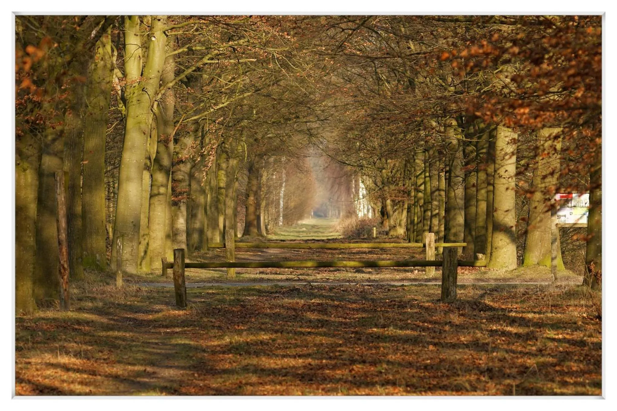 Neighbourhood in Landgoed de Rosep