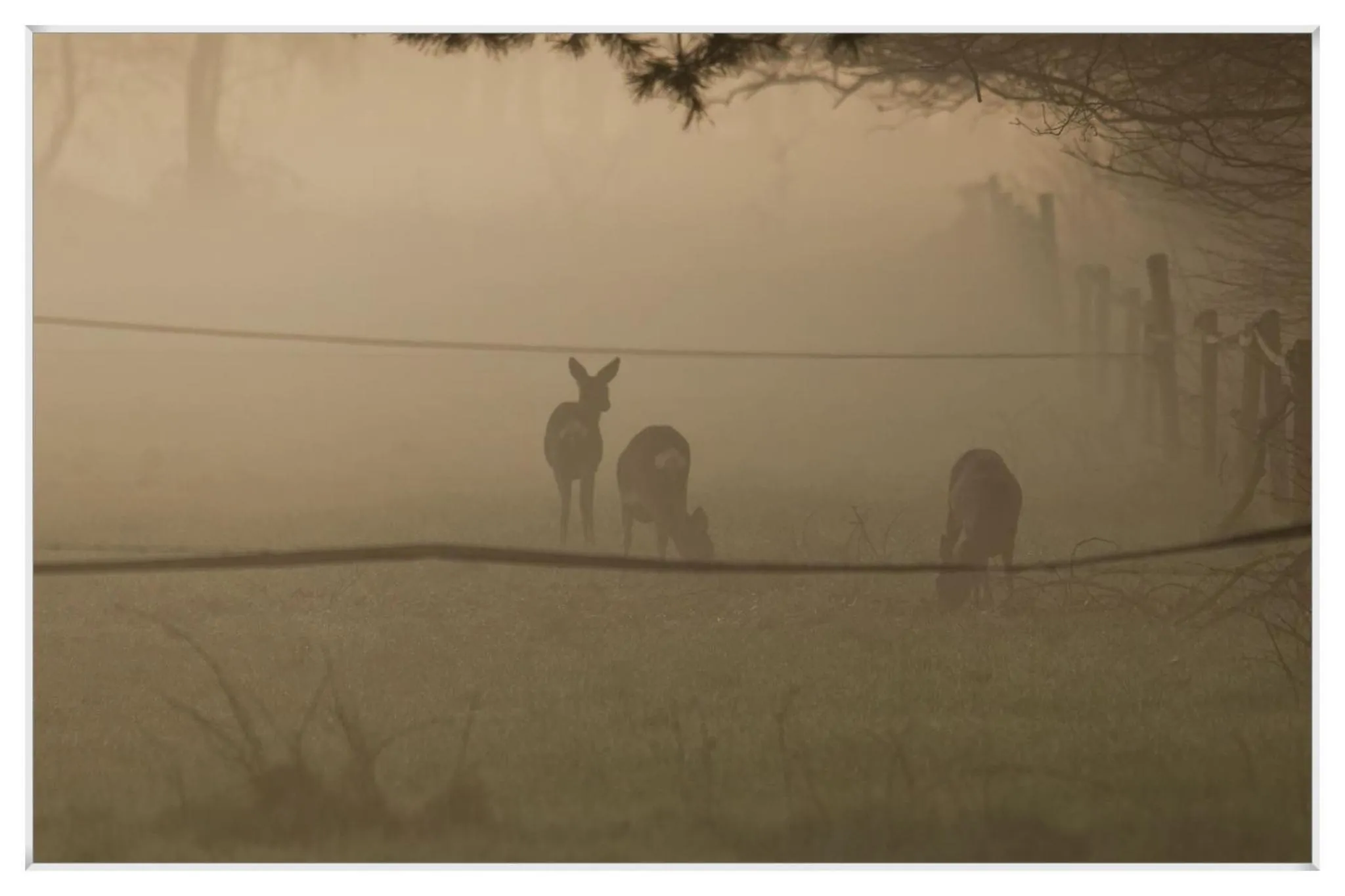 Neighbourhood in Landgoed de Rosep
