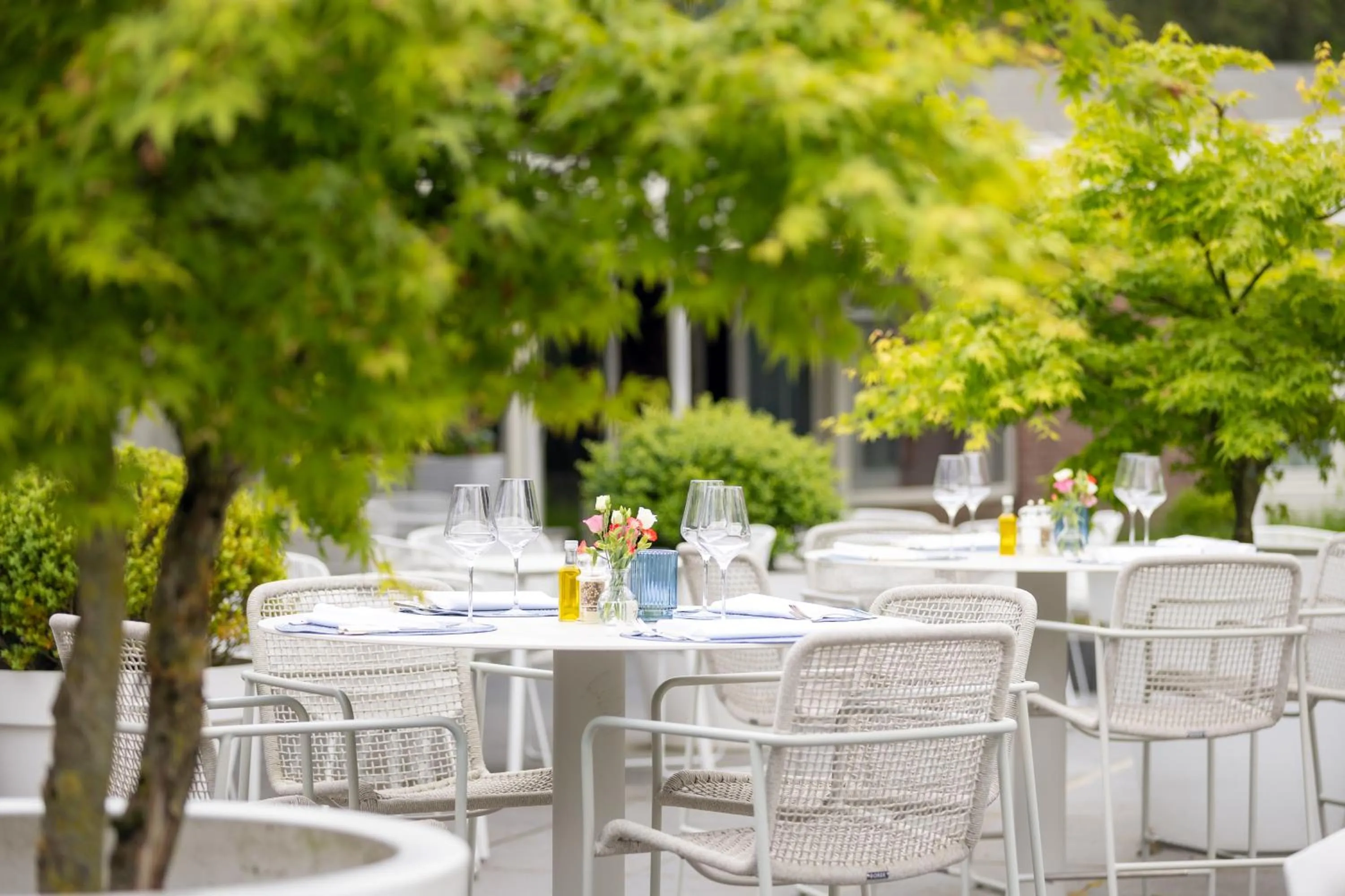 Balcony/Terrace in Landgoed de Rosep