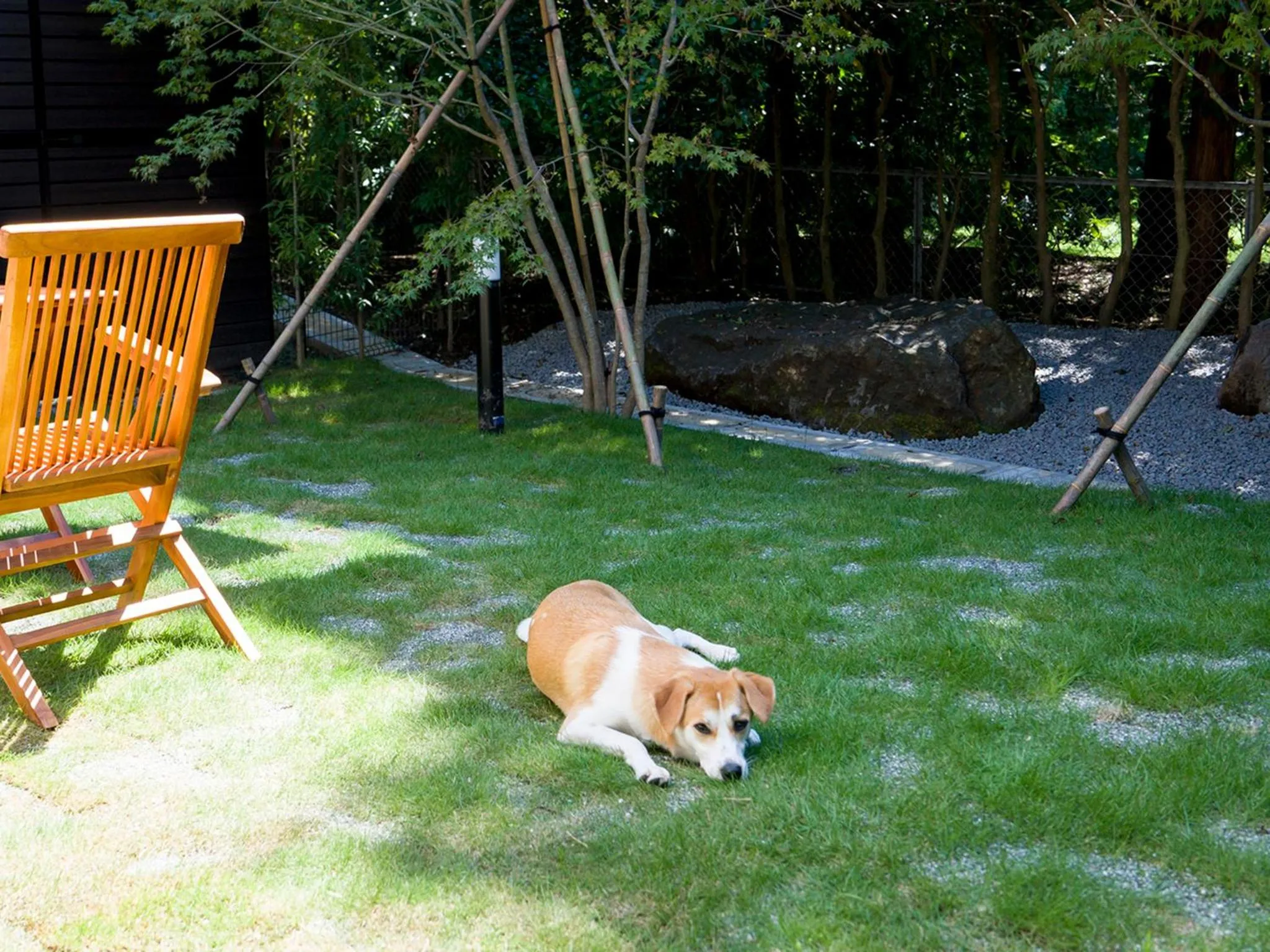 Pets in Rakuten STAY VILLA Hakone Sengokuhara