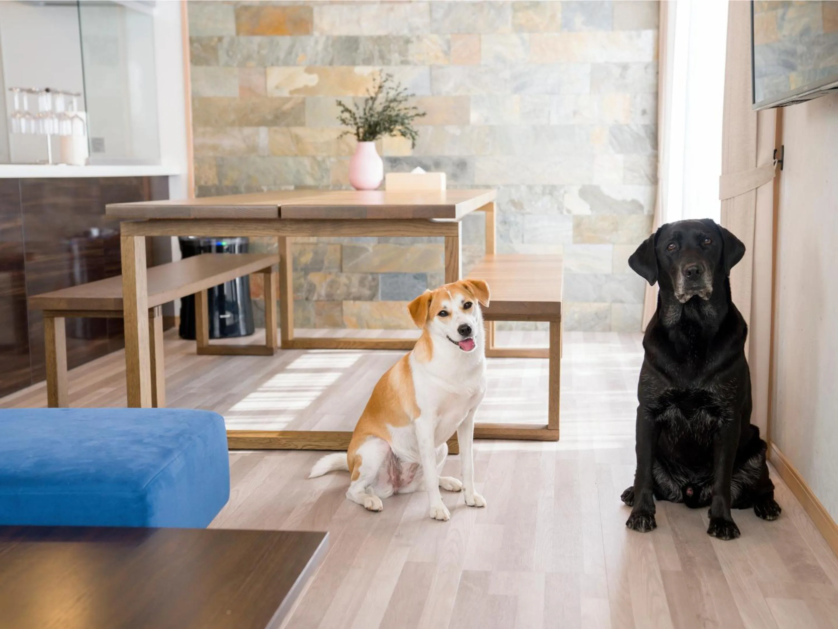 Photo of the whole room in Rakuten STAY VILLA Yamanakako