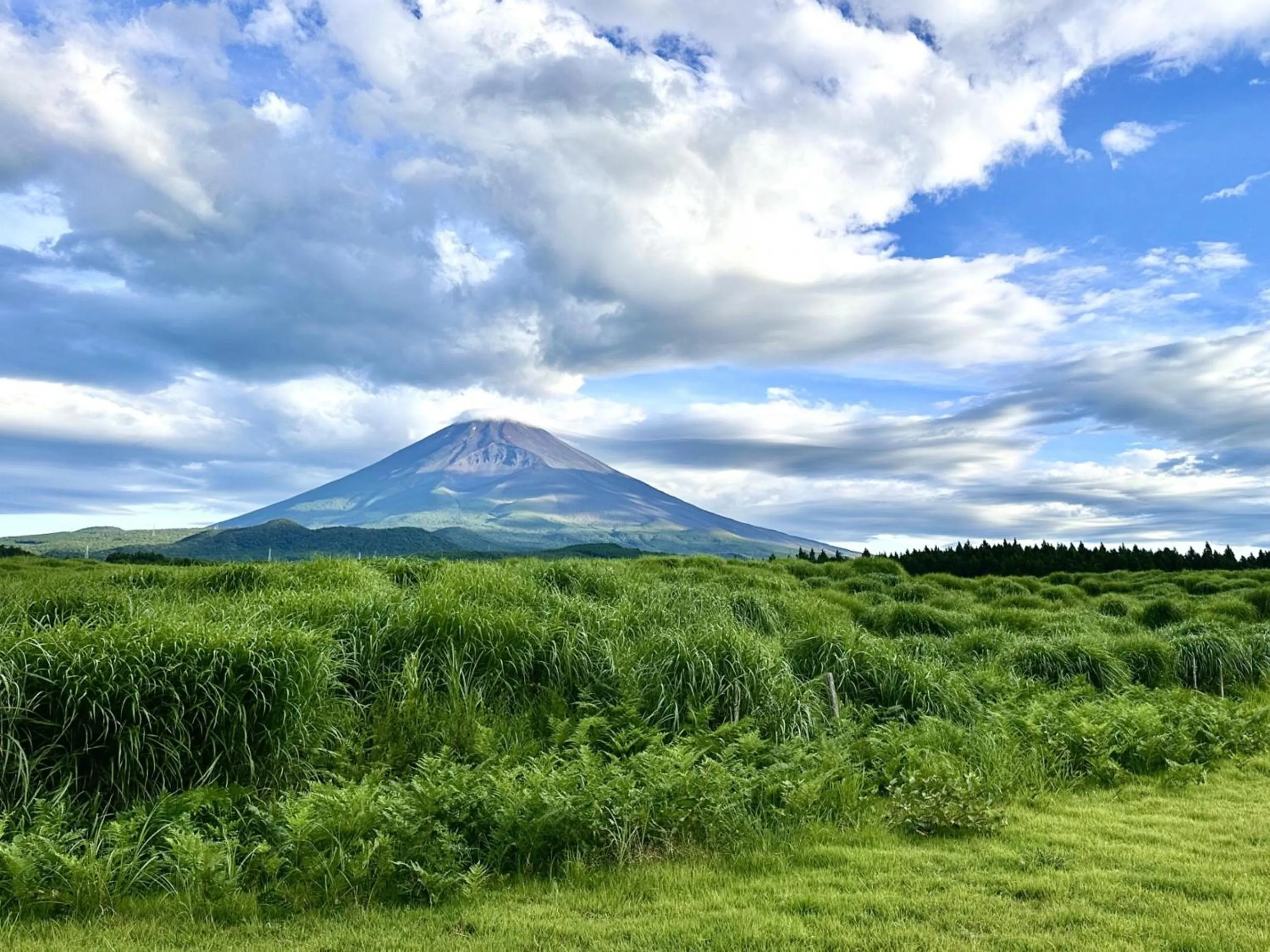 Nearby landmark in Rakuten STAY VILLA Yamanakako