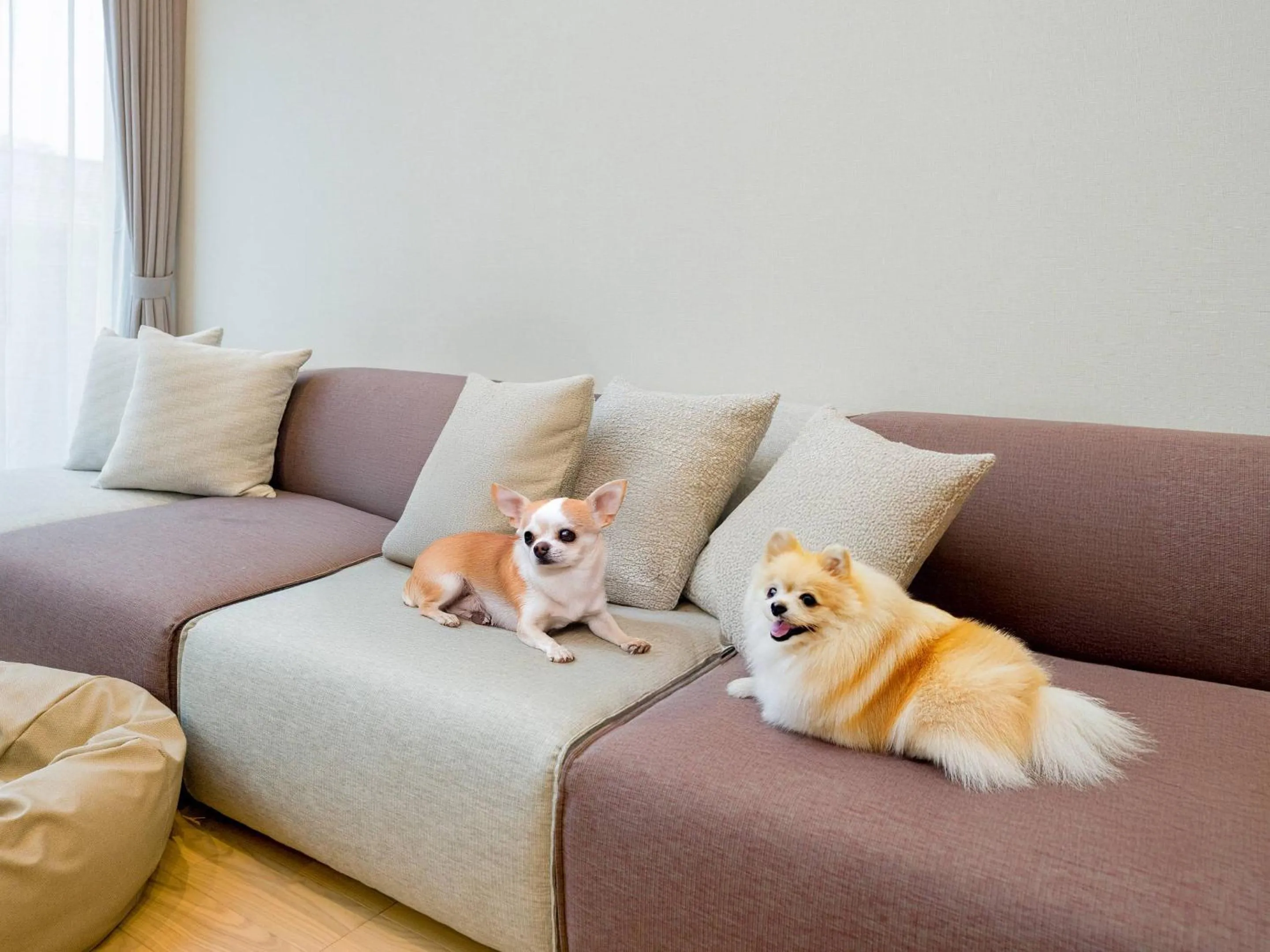Living room in Rakuten STAY VILLA Yatsugatake