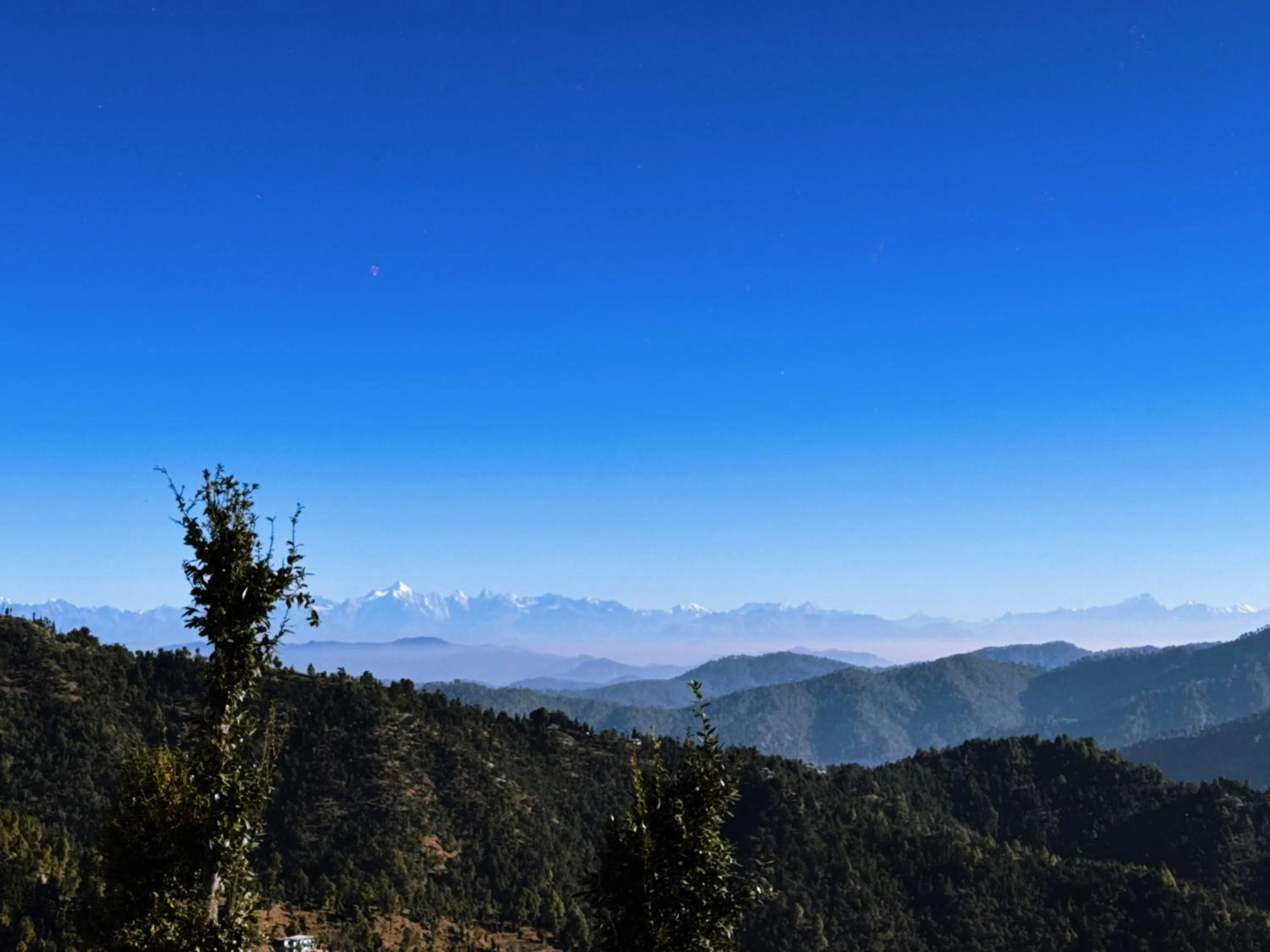 Property building in Wanderlust Mukteshwar