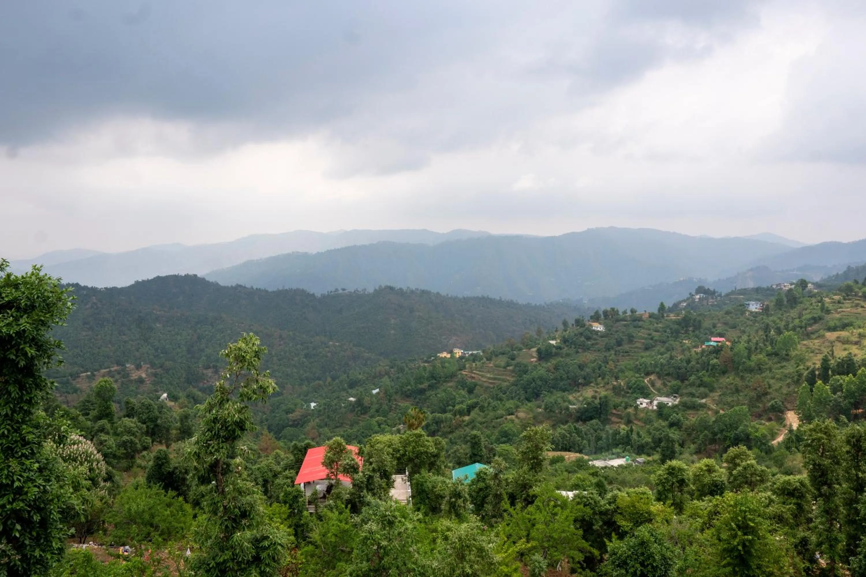 View (from property/room) in Wanderlust Mukteshwar