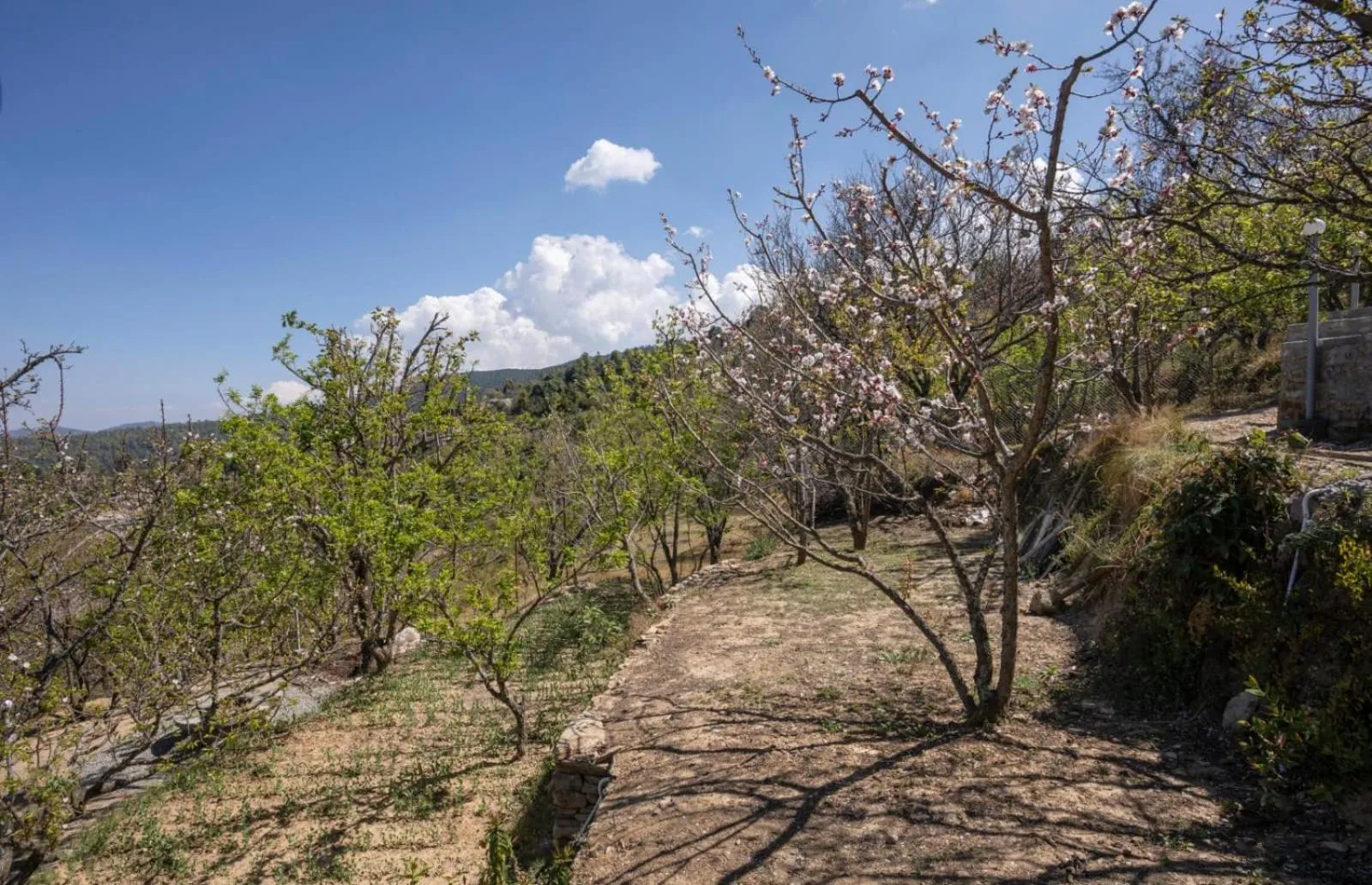 Natural landscape in Shree Parijat Resort - Luxury Resort in Mukteshwar