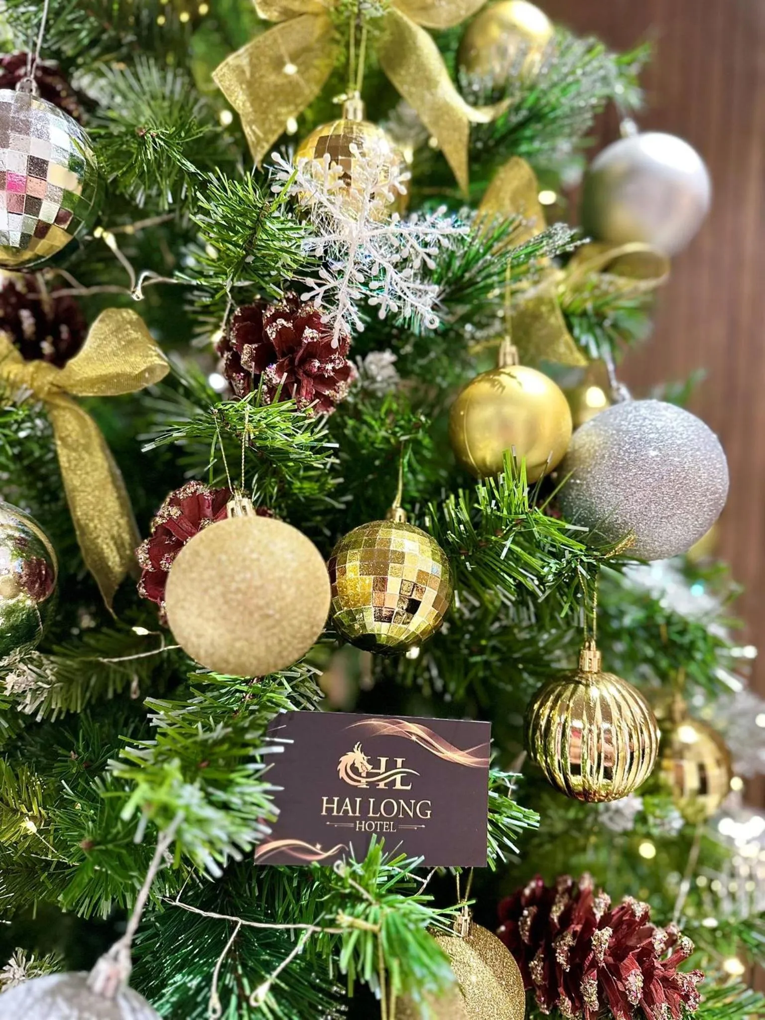 Text overlay in Hải Long Hotel 2