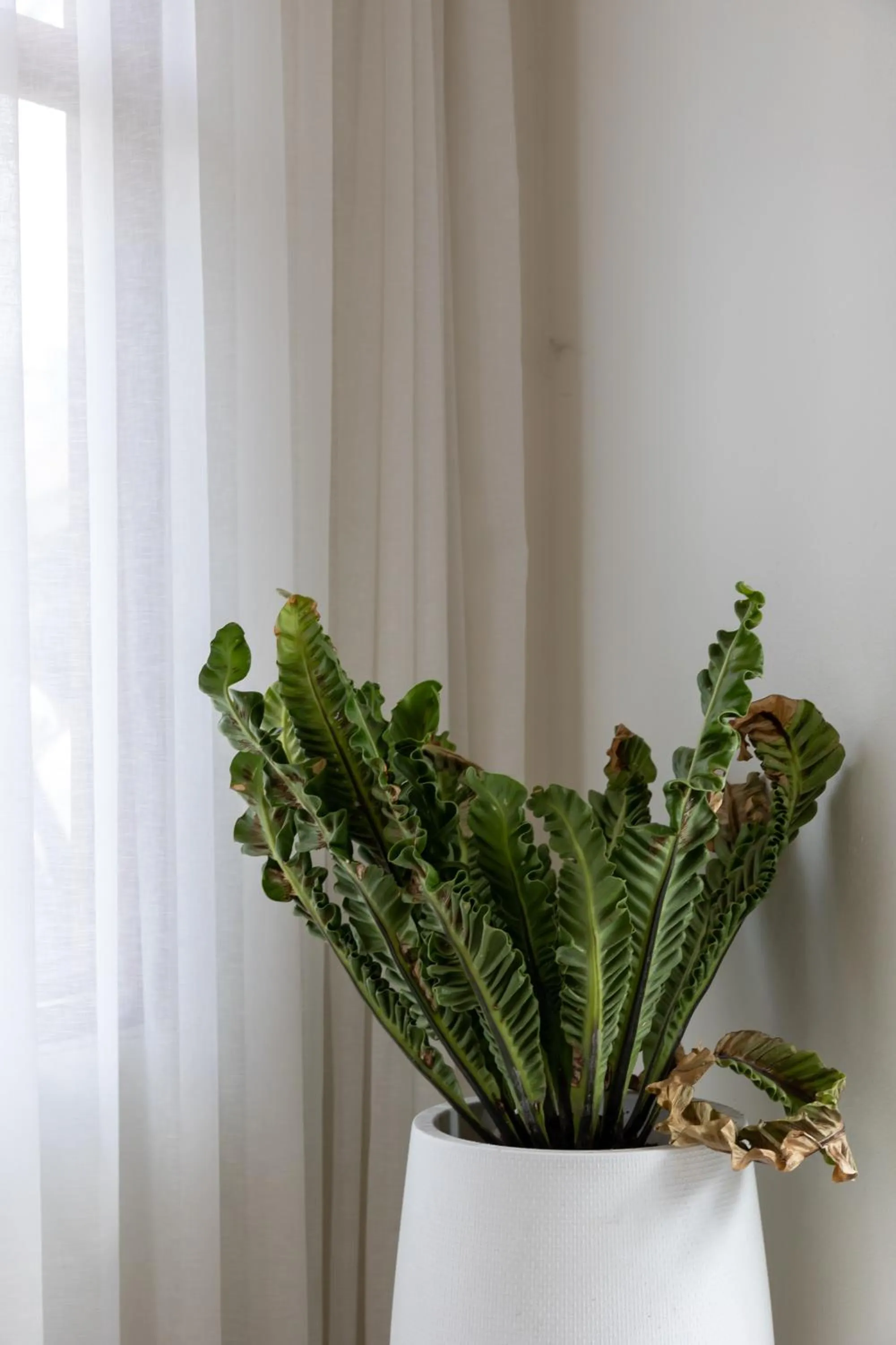 Coffee/tea facilities in Samer Boutique Stay