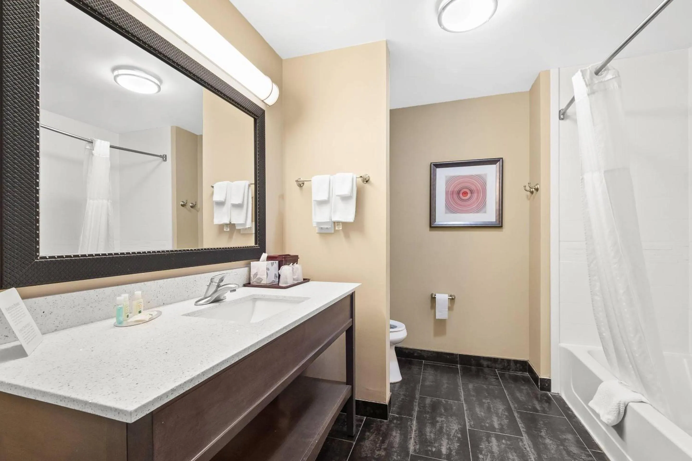 Bedroom in Quality Inn & Suites Pearsall