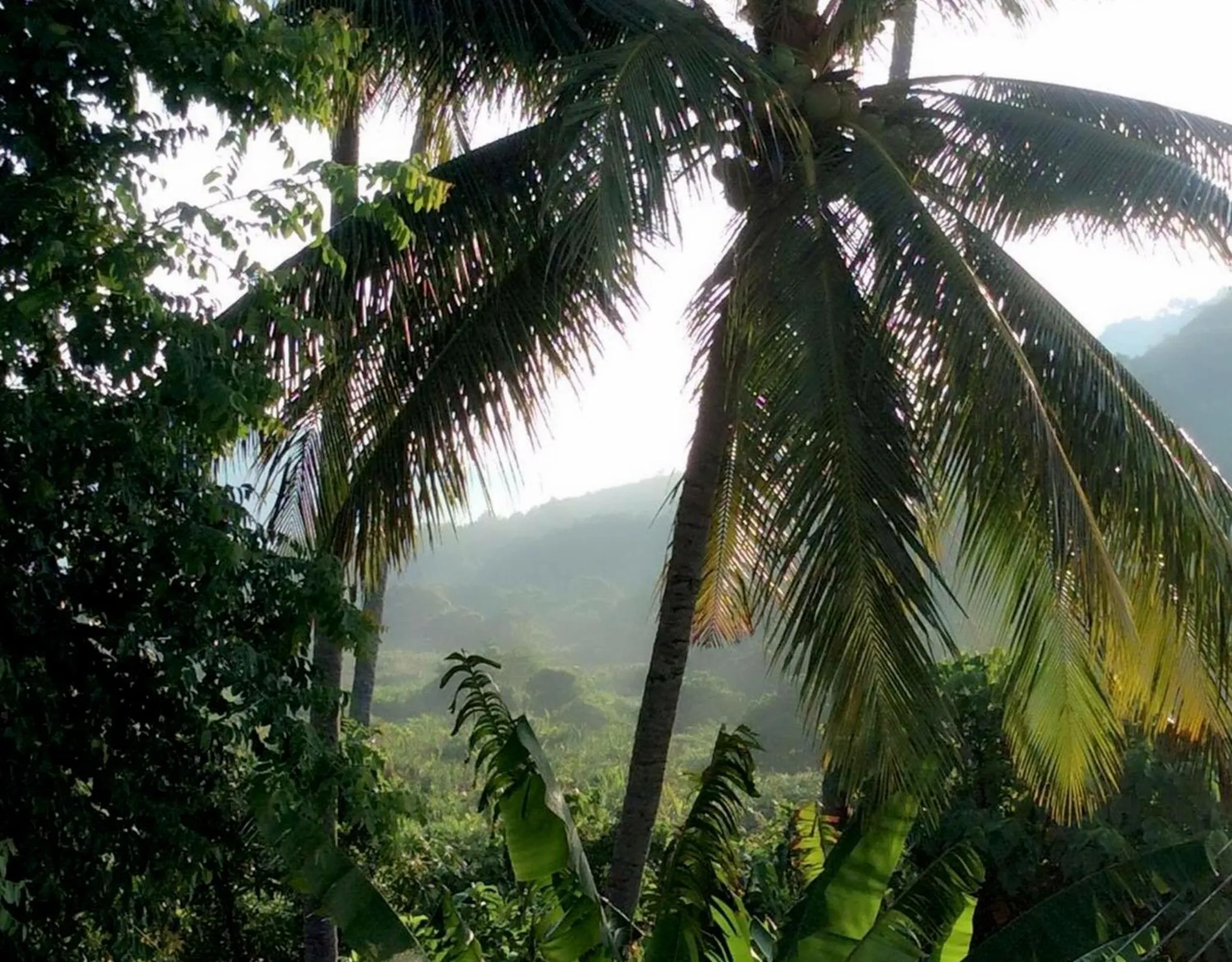 Neighbourhood in Lanta Wanida Resort