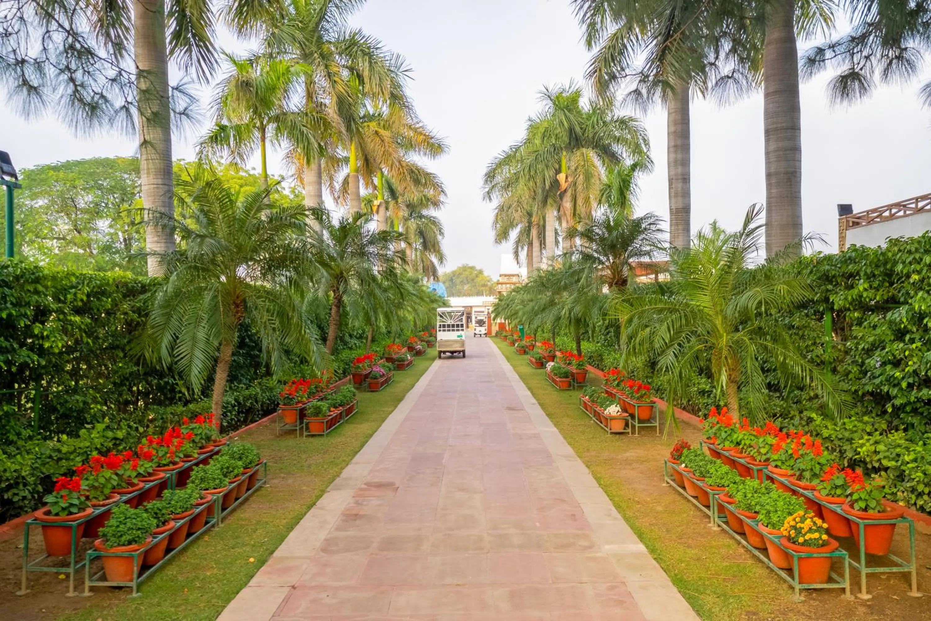 Natural landscape in Aapno Ghar Resort & Amusement Park