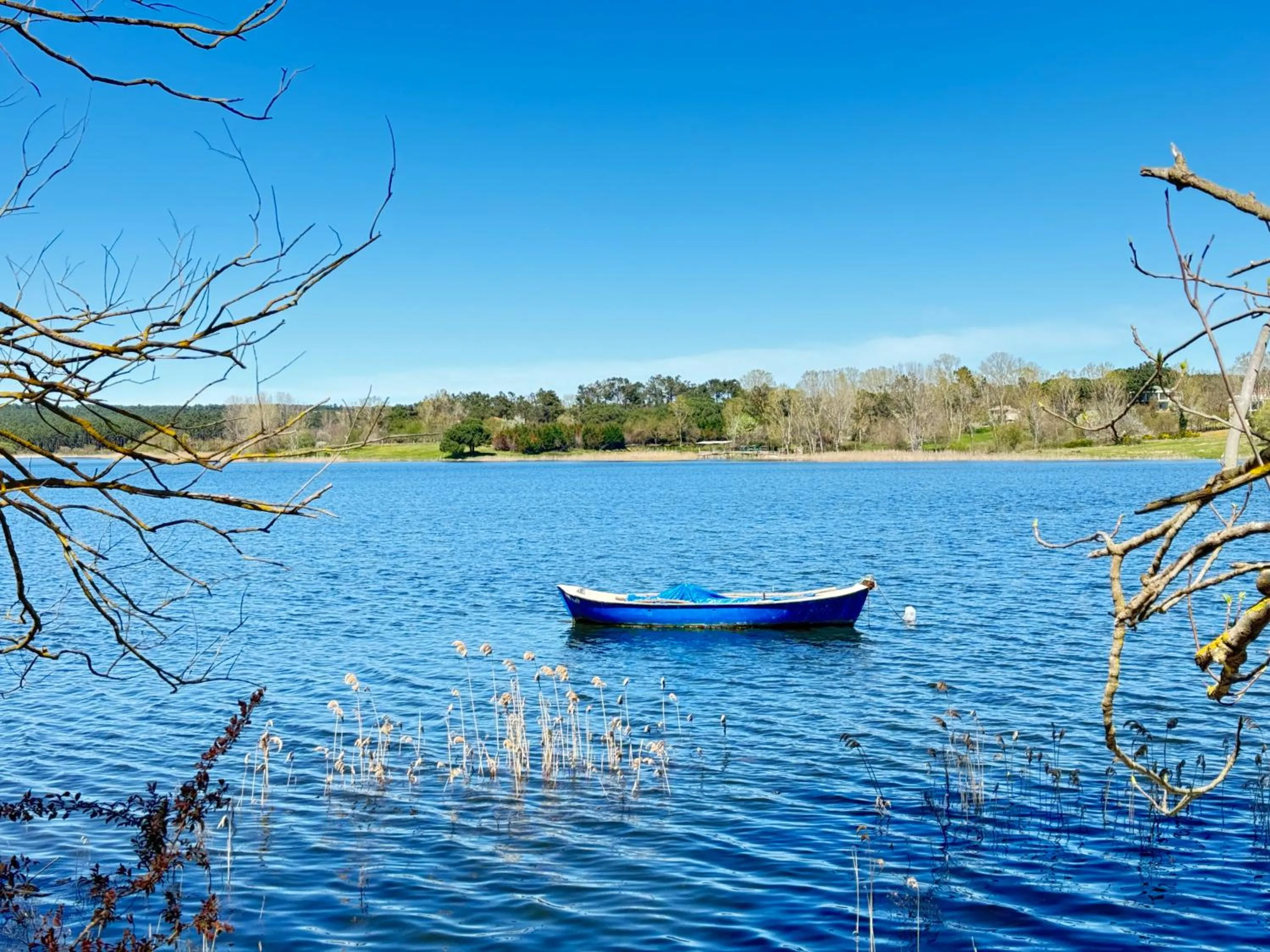 Garden in Green Roof Boutique Hotel & SPA Istanbul Airport