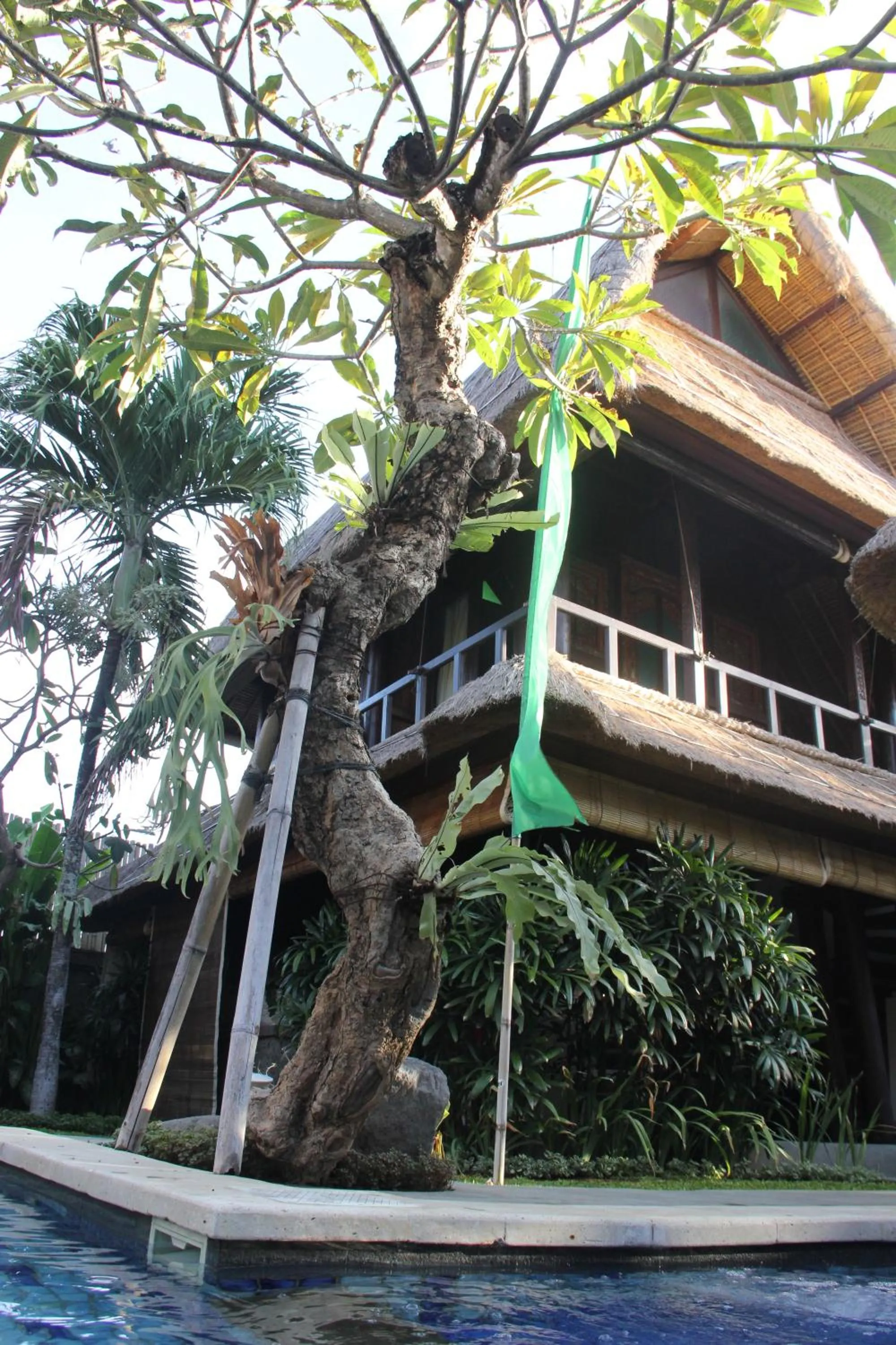 Day in Radiant Jepun Villa