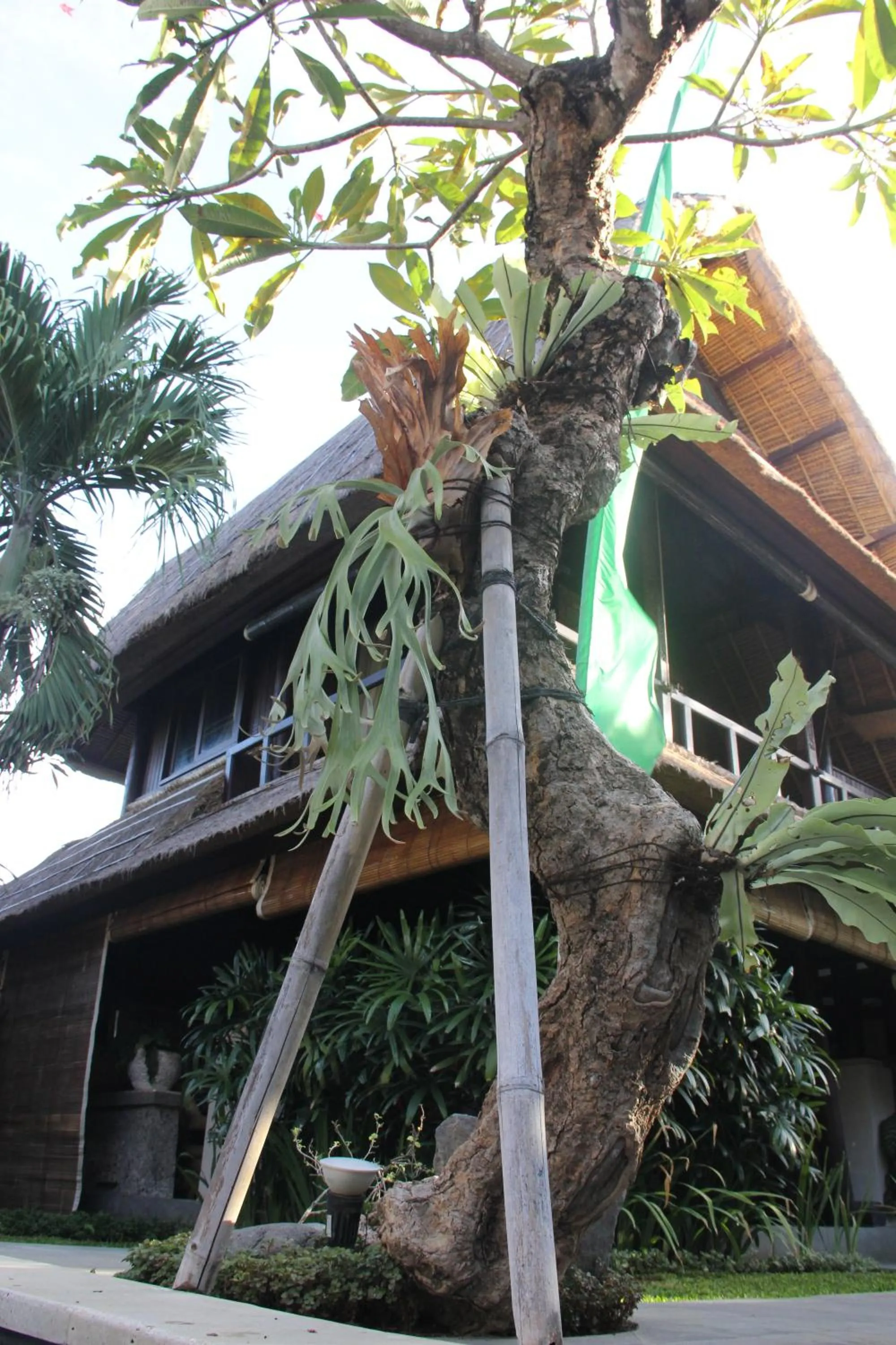 Day in Radiant Jepun Villa