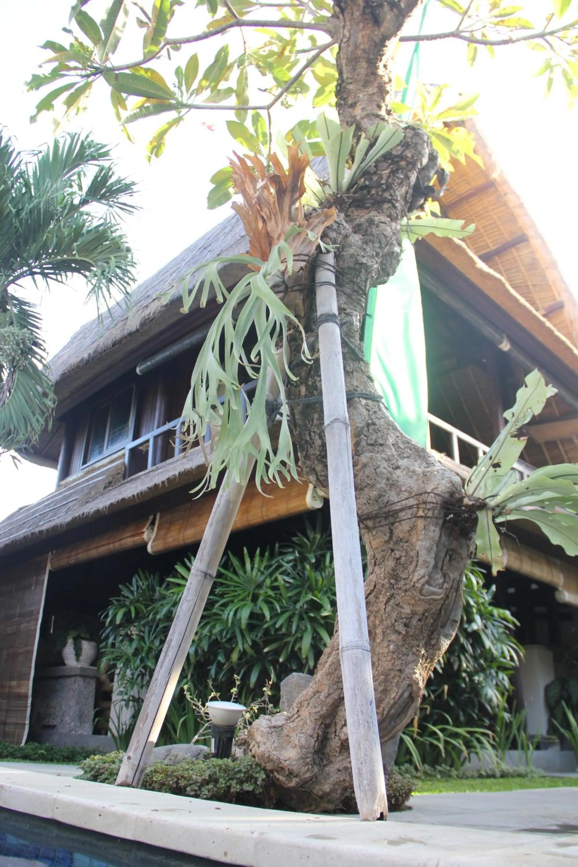 Day in Radiant Jepun Villa