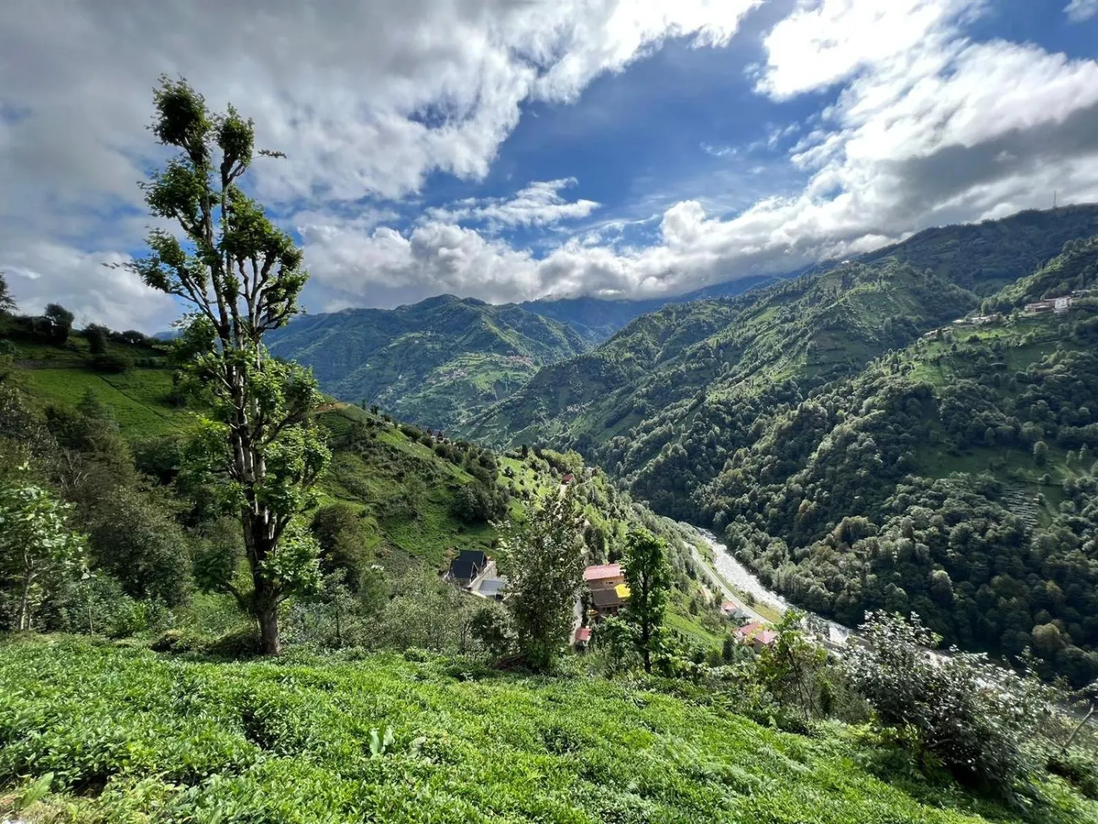 Garden view in Peruma otel bungalov