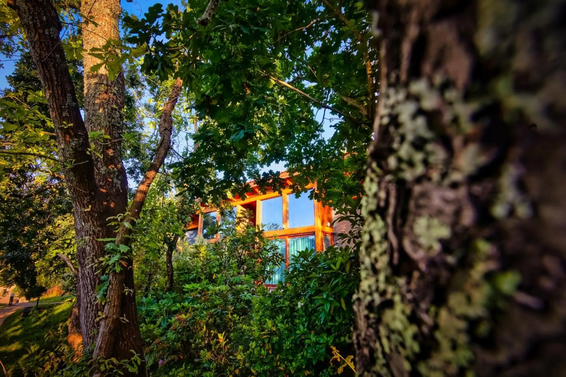 Day in Rinoterra Minho