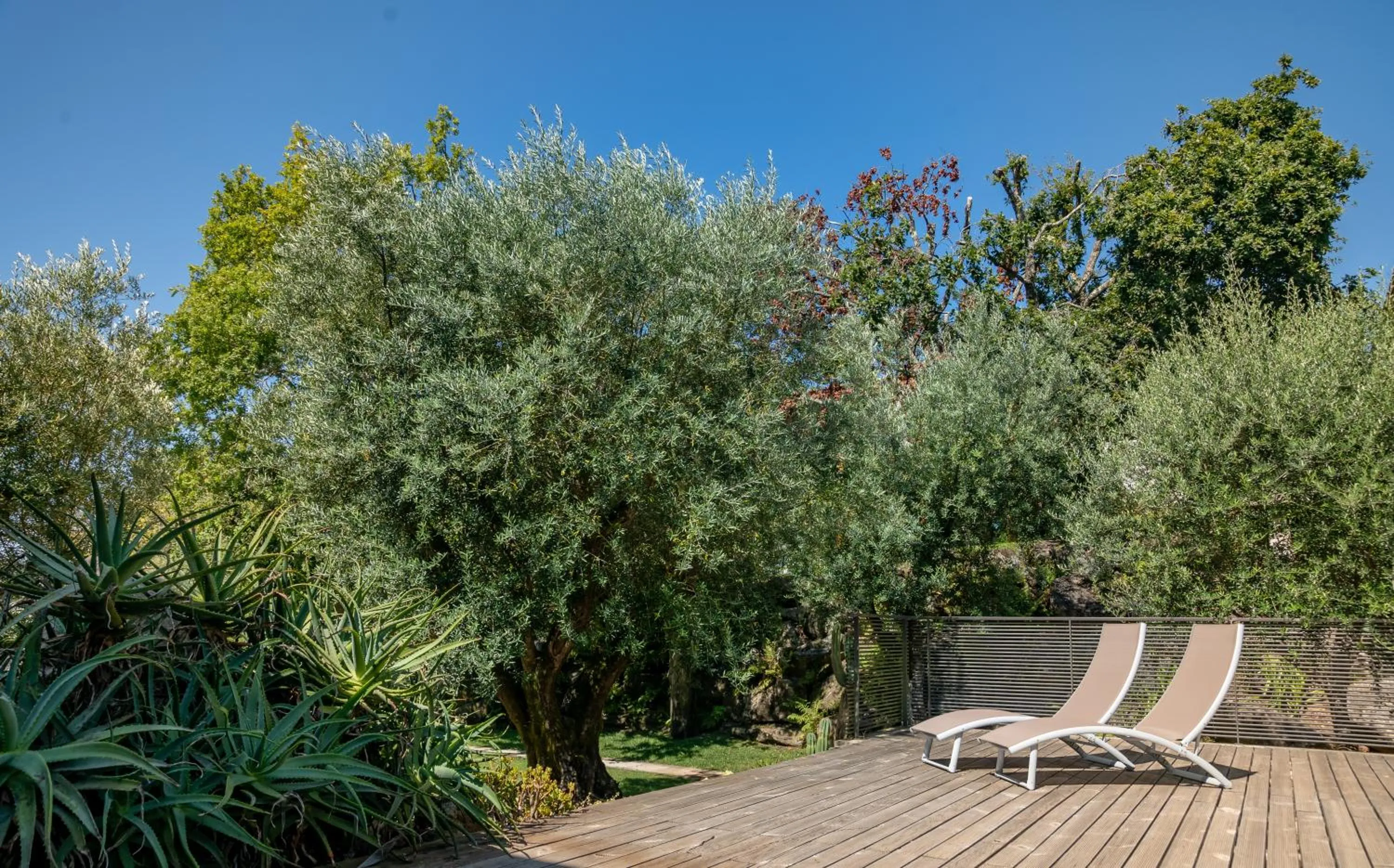 Day in Rinoterra Minho