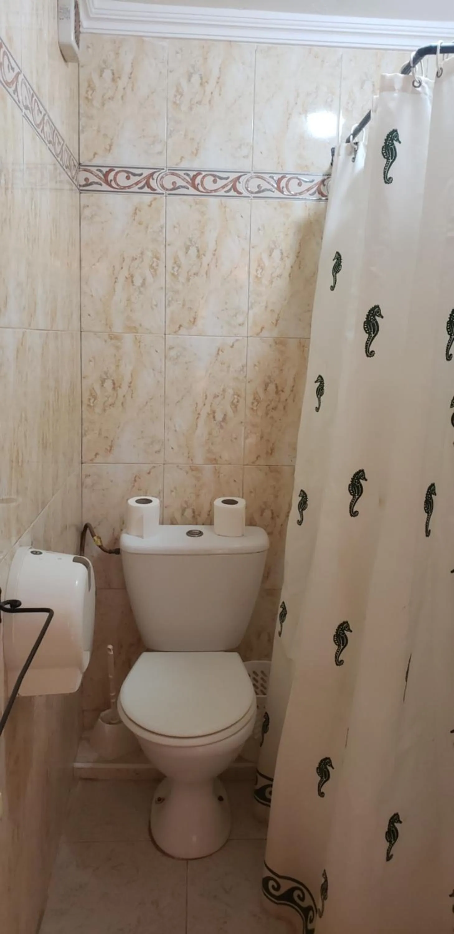 Toilet in Hôtel Ziad