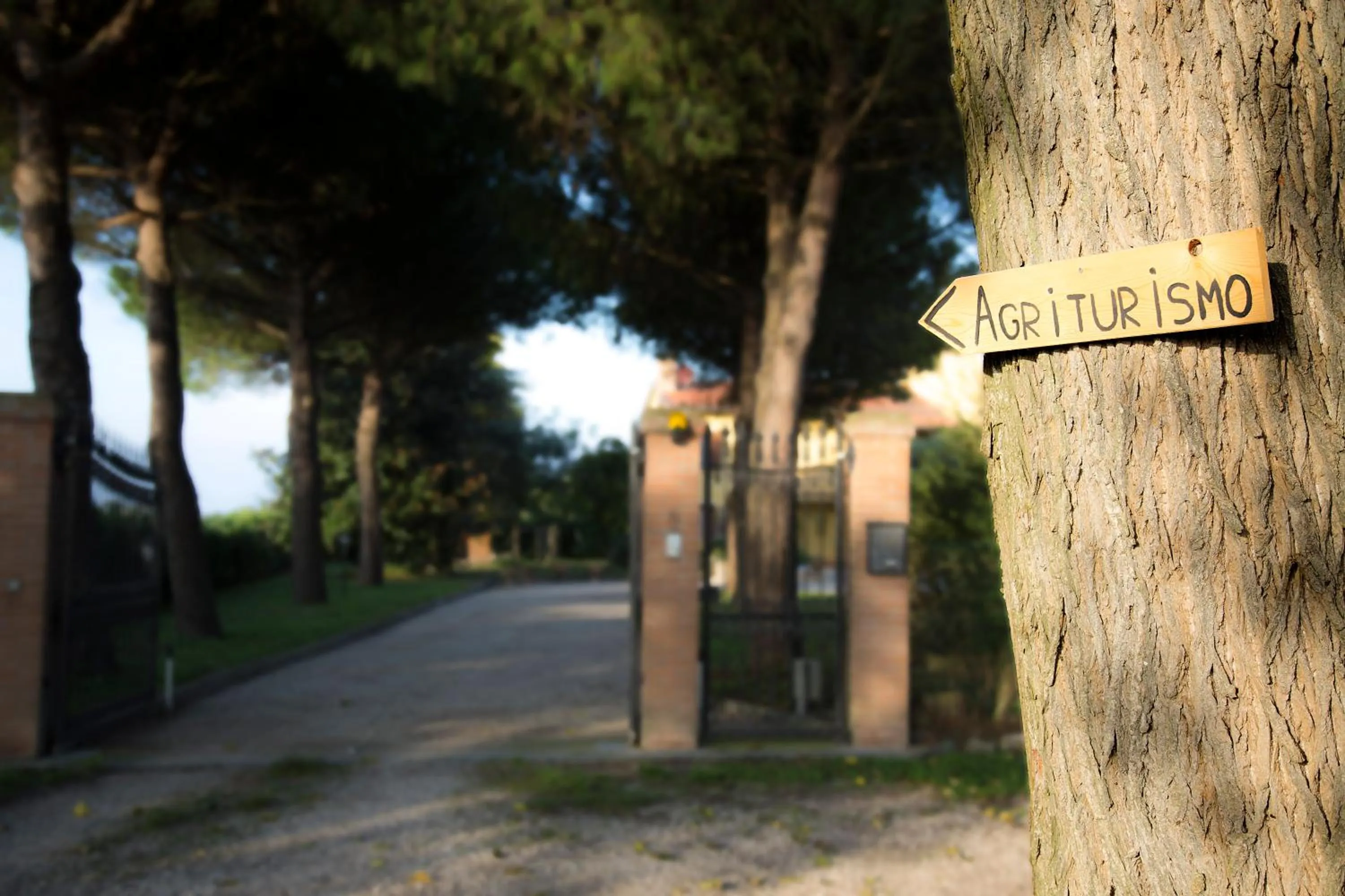 Garden view in Agriturismo Ae Cavane