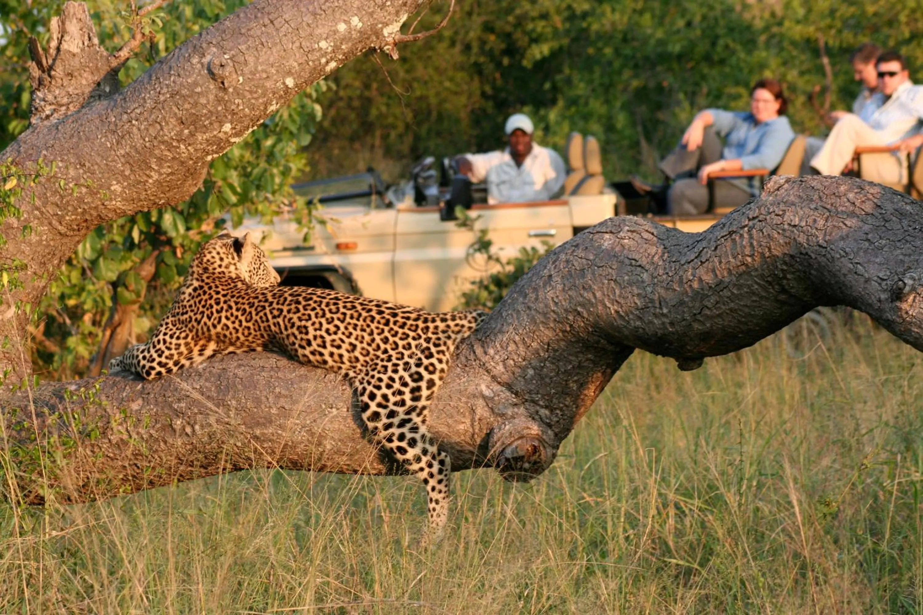 Activities in Tintswalo Safari