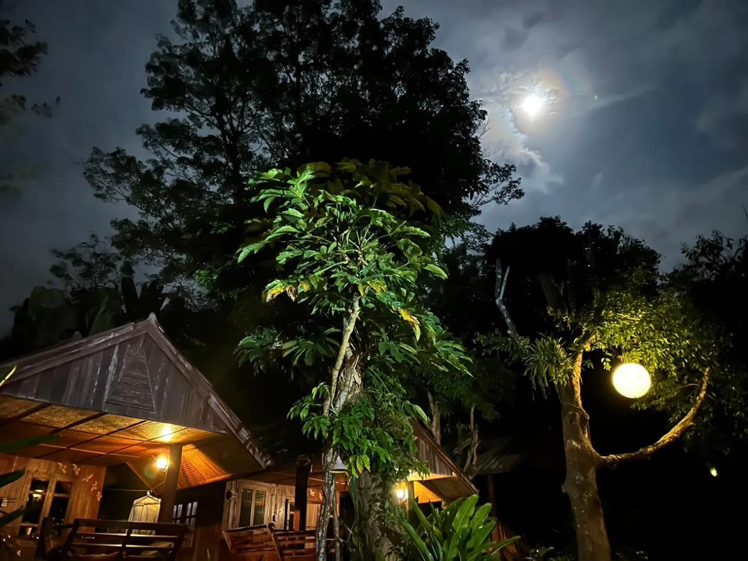 Night in Baan Wisarut Guesthouse