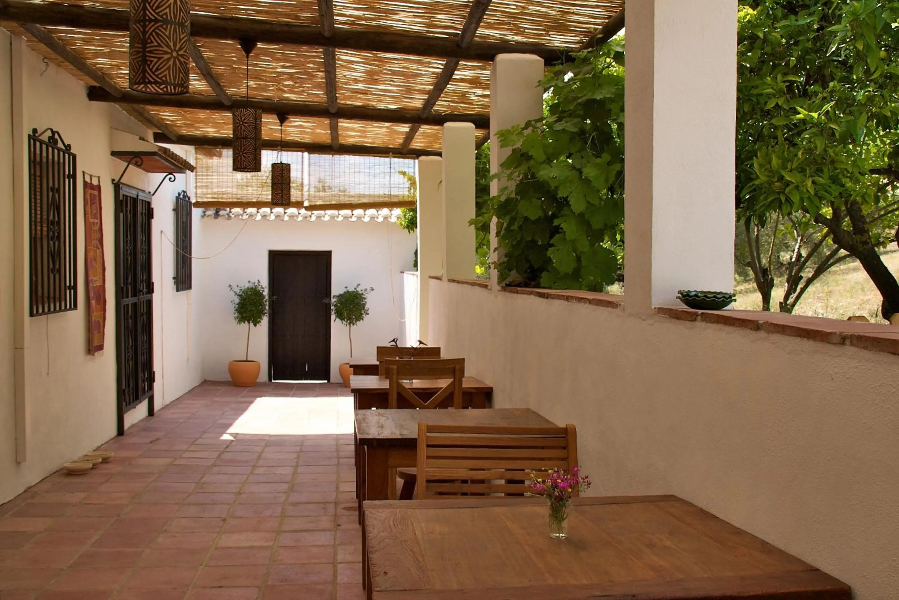 Restaurant/places to eat in Valle de Oro