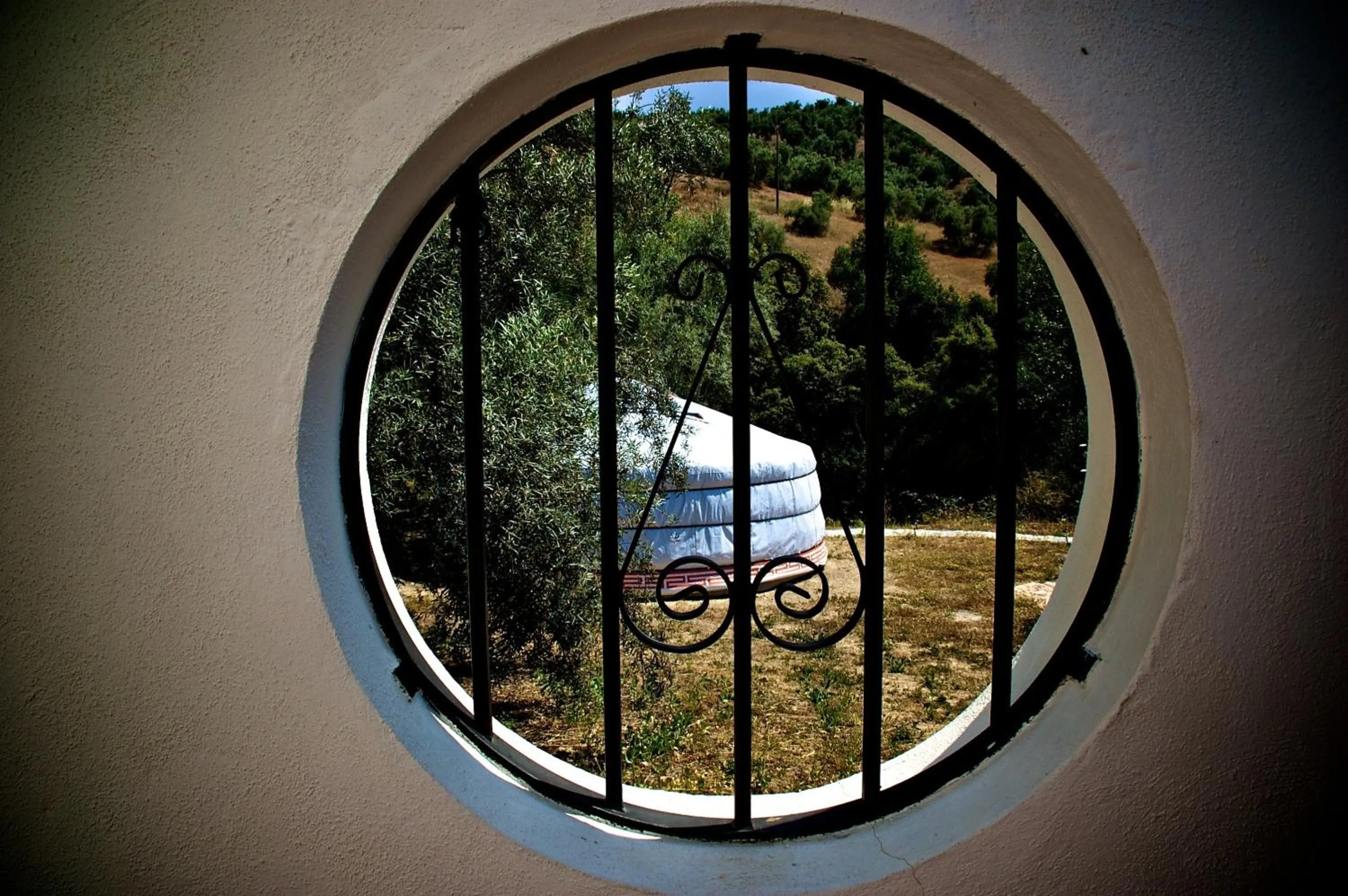 Spring in Valle de Oro